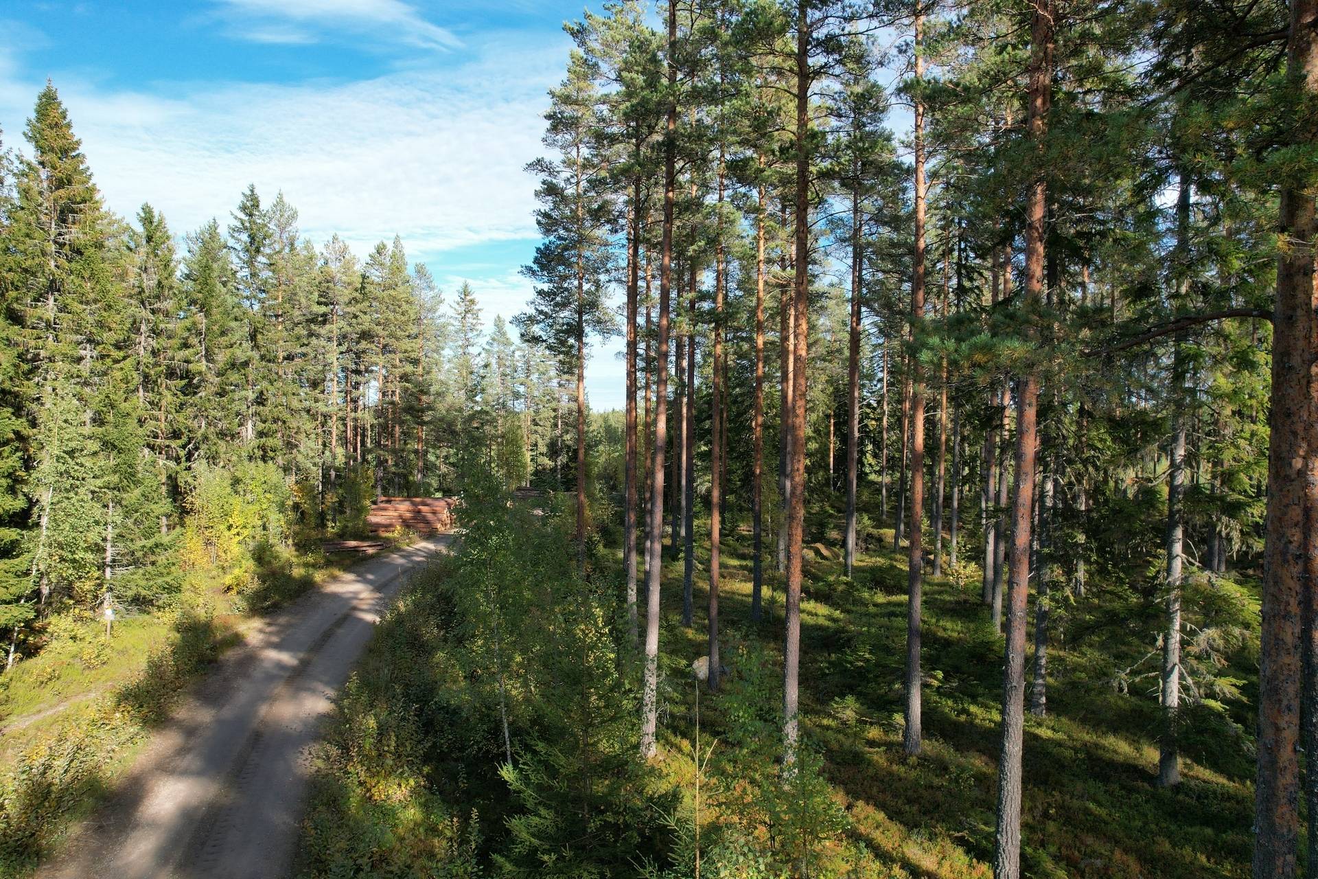 Gård med jordbruk på Sömskars skogen Sandvikens kommun - bild 29