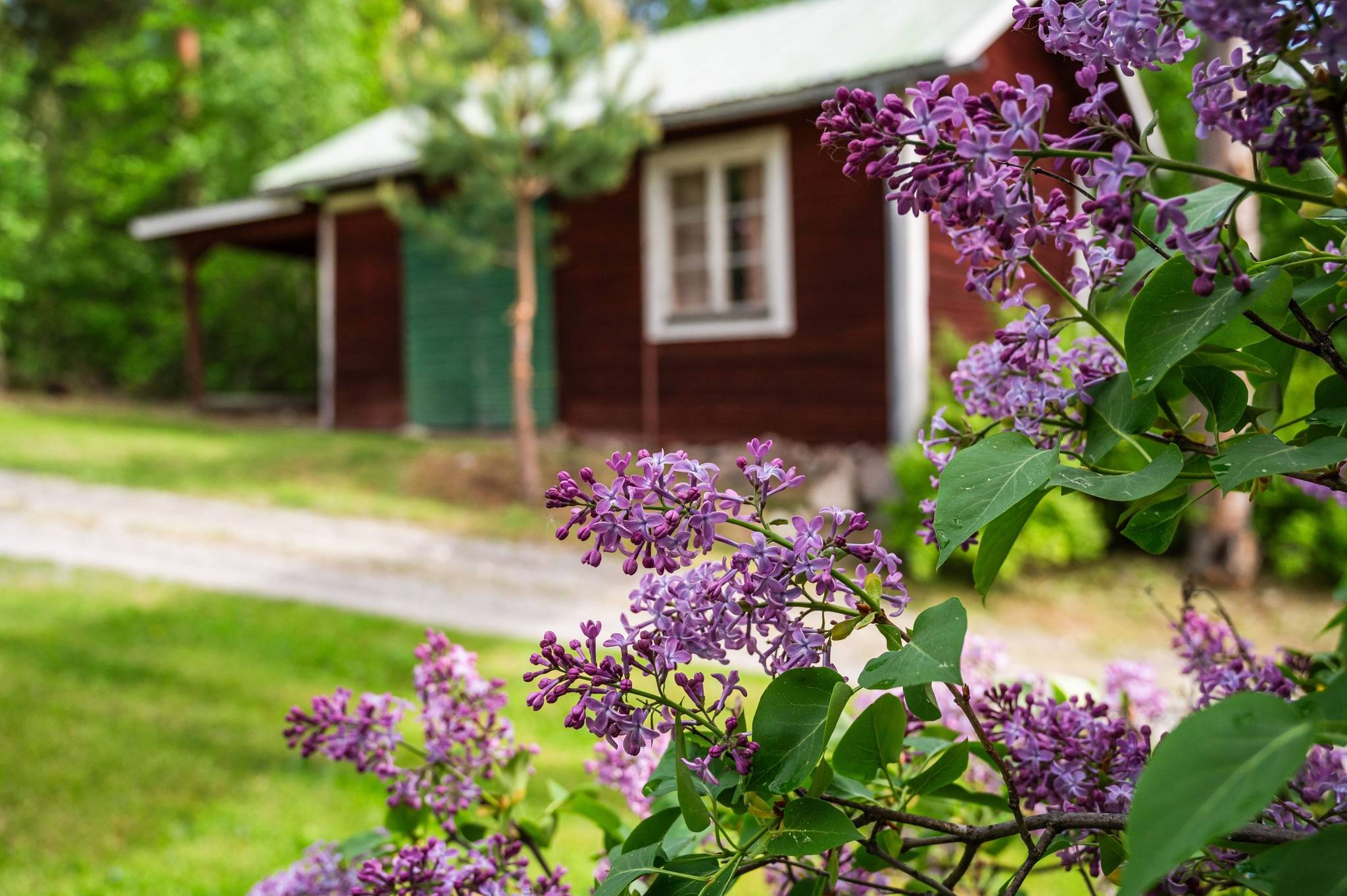 87 m² Villa på Hallsta 352 Hallsta Ånge kommun - bild 30
