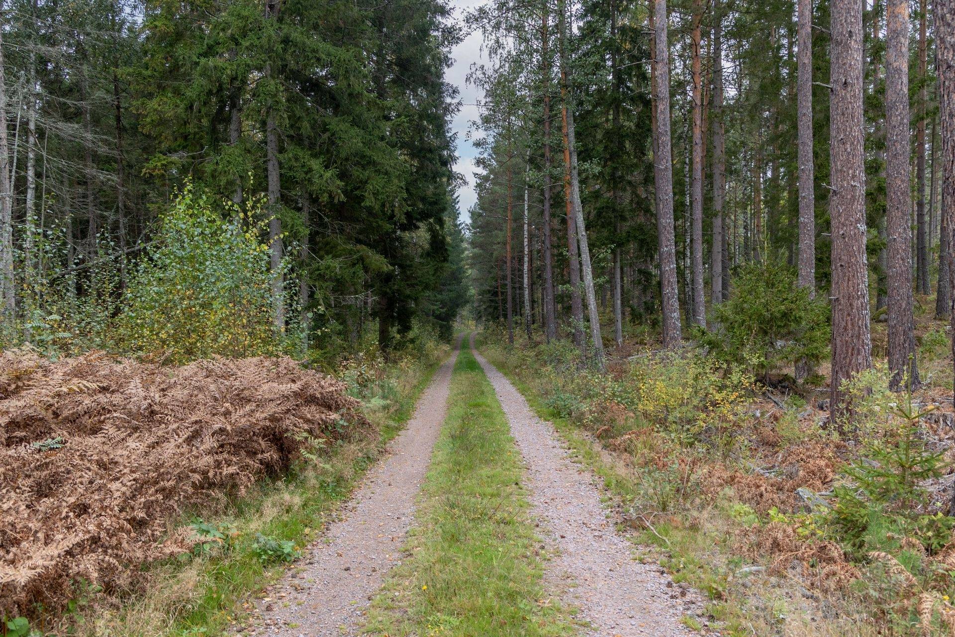 Vena, Hultsfreds kommun
