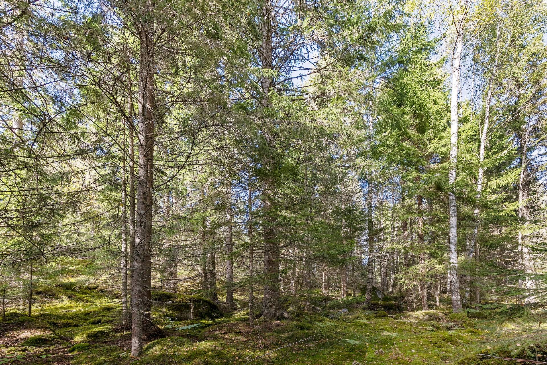 190 m² Gård med jordbruk på Djupviksängen Askersunds kommun - bild 27