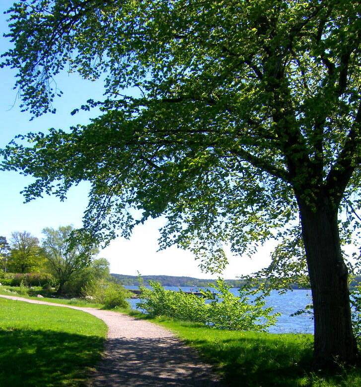 6 rum Villa på Sämundvägen 5 Kottla Lidingö kommun - bild 58