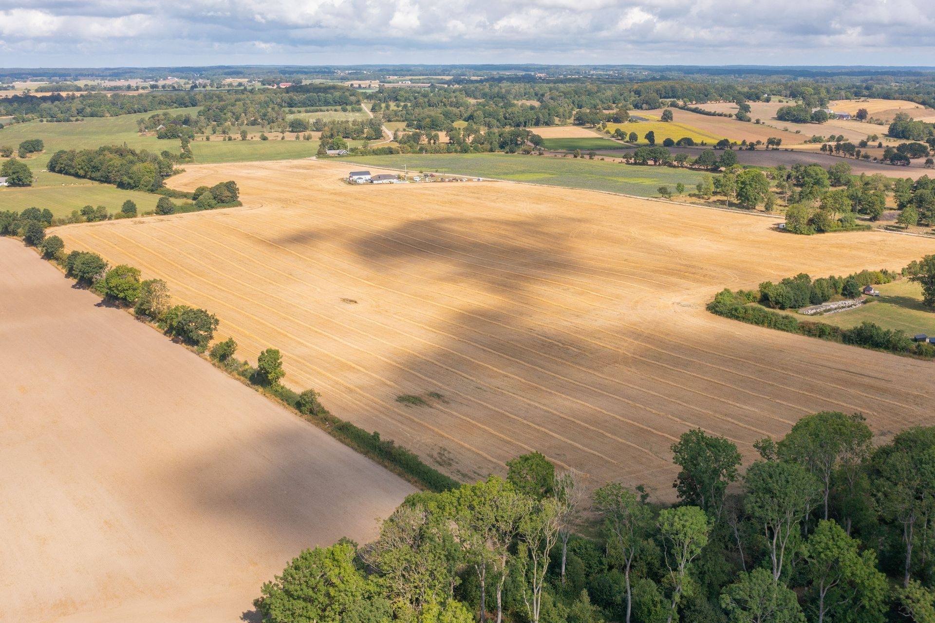 Gård med jordbruk på Östra Klasarödsvägen 262-16 Sjöbo kommun - bild 20