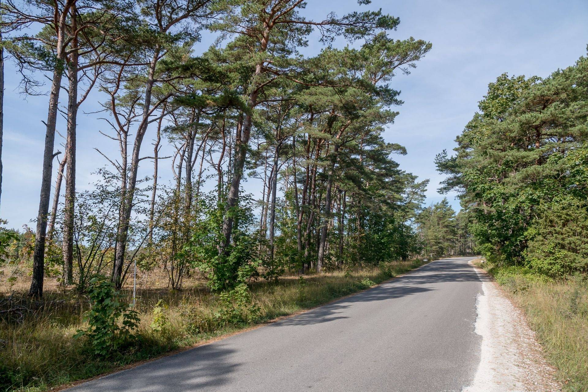 Tomt på Sundre Västergårde 326 C Vamlingbo Gotlands kommun - bild 10