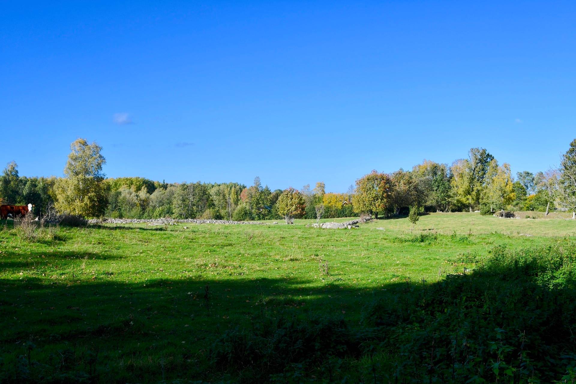 Gård med skogsbruk Binneberg Skövde kommun - bild 40