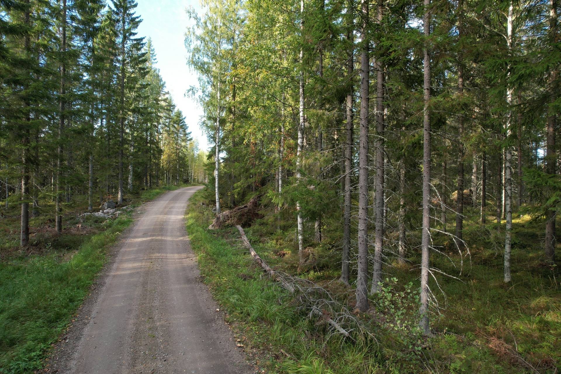 Gård med jordbruk på Sömskars skogen Sandvikens kommun - bild 32