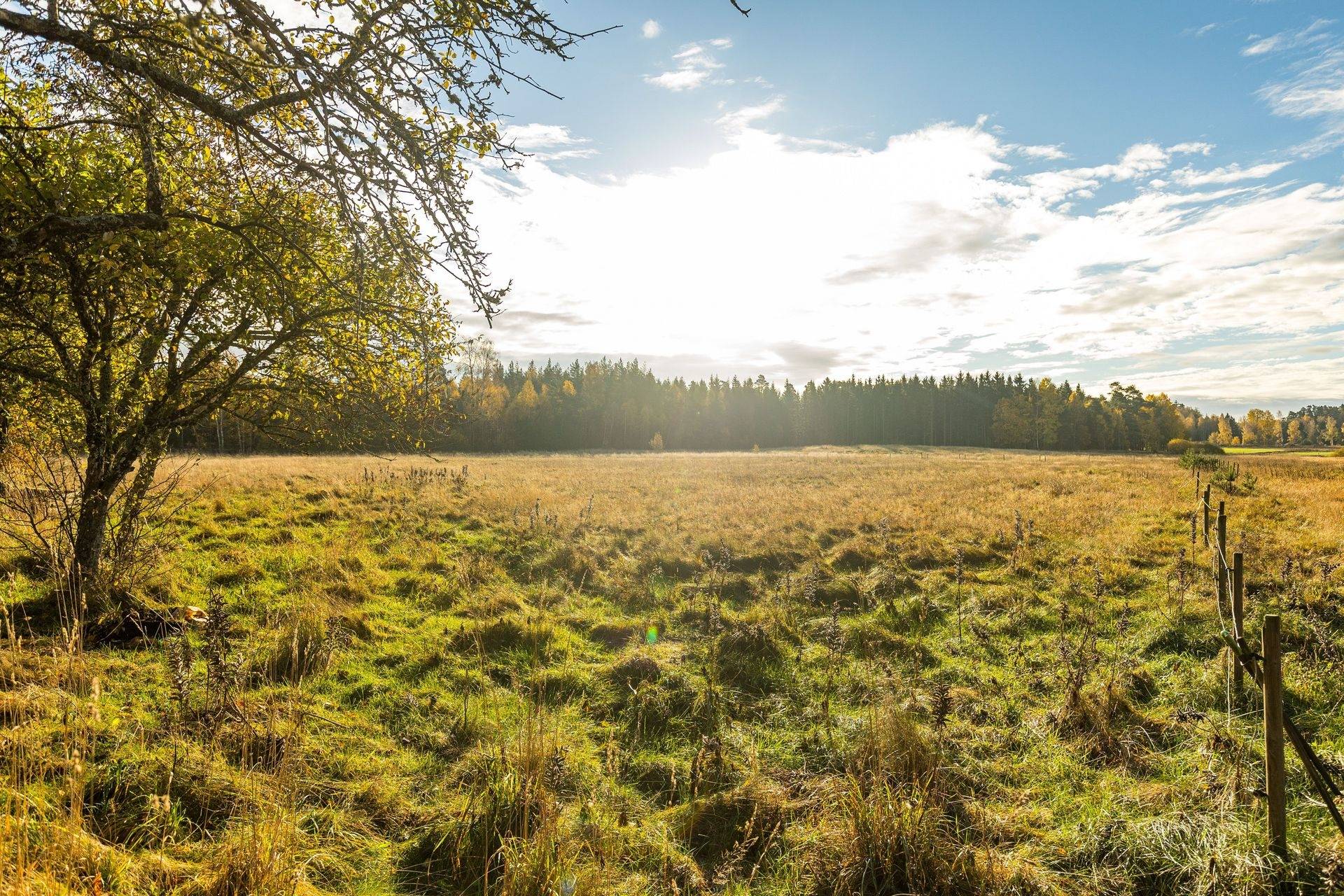 Gård/skog på Synnerby Myren 3 Skara kommun - bild 41