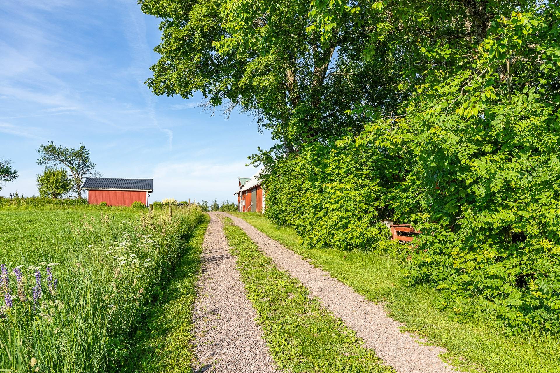 4 rum Villa på Åsen 3 Eksjö kommun - bild 4