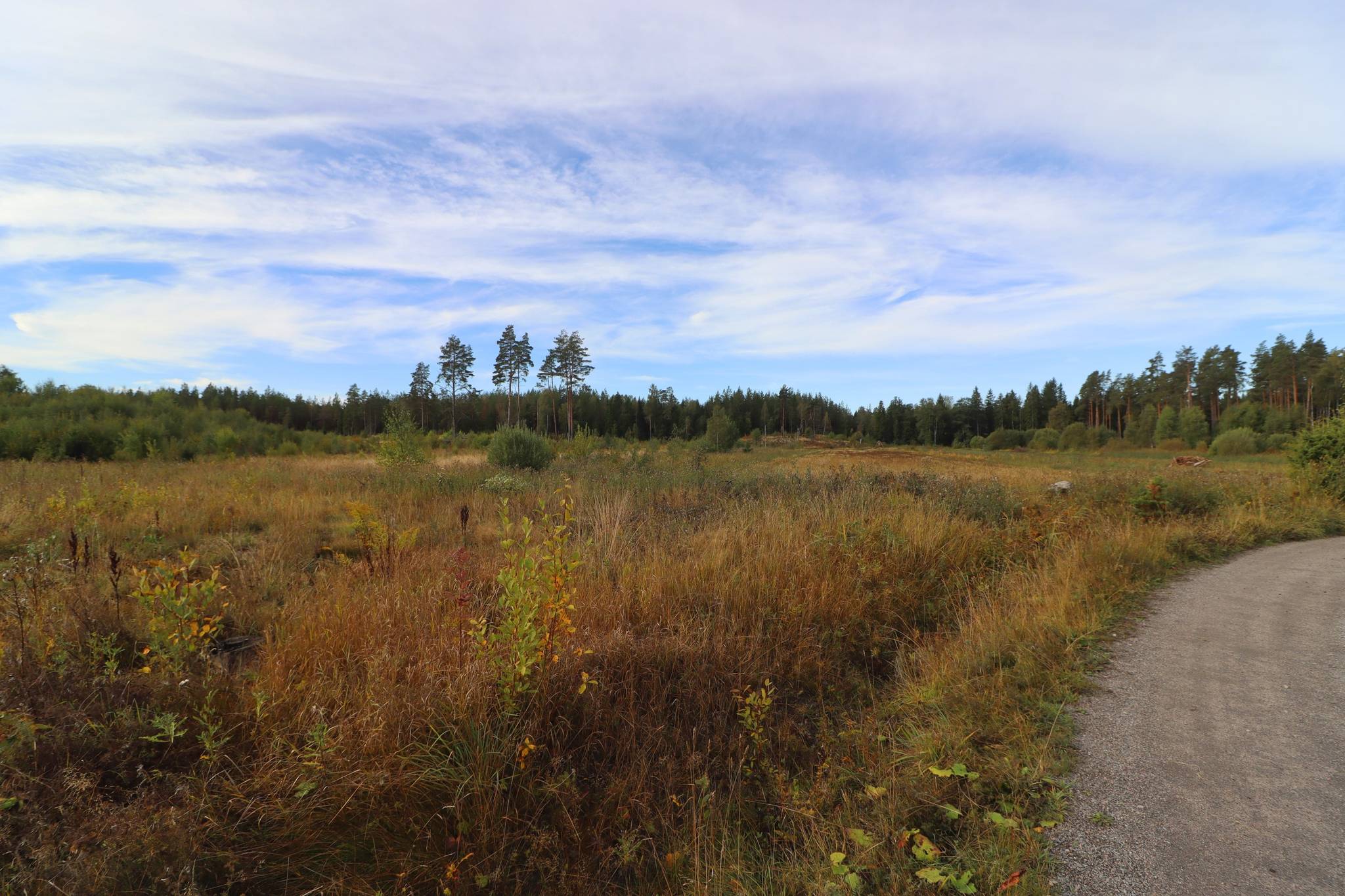 2 rum Gård/skog på Haglundavägen 17 Gottröra - Haglunda Norrtälje kommun - bild 10