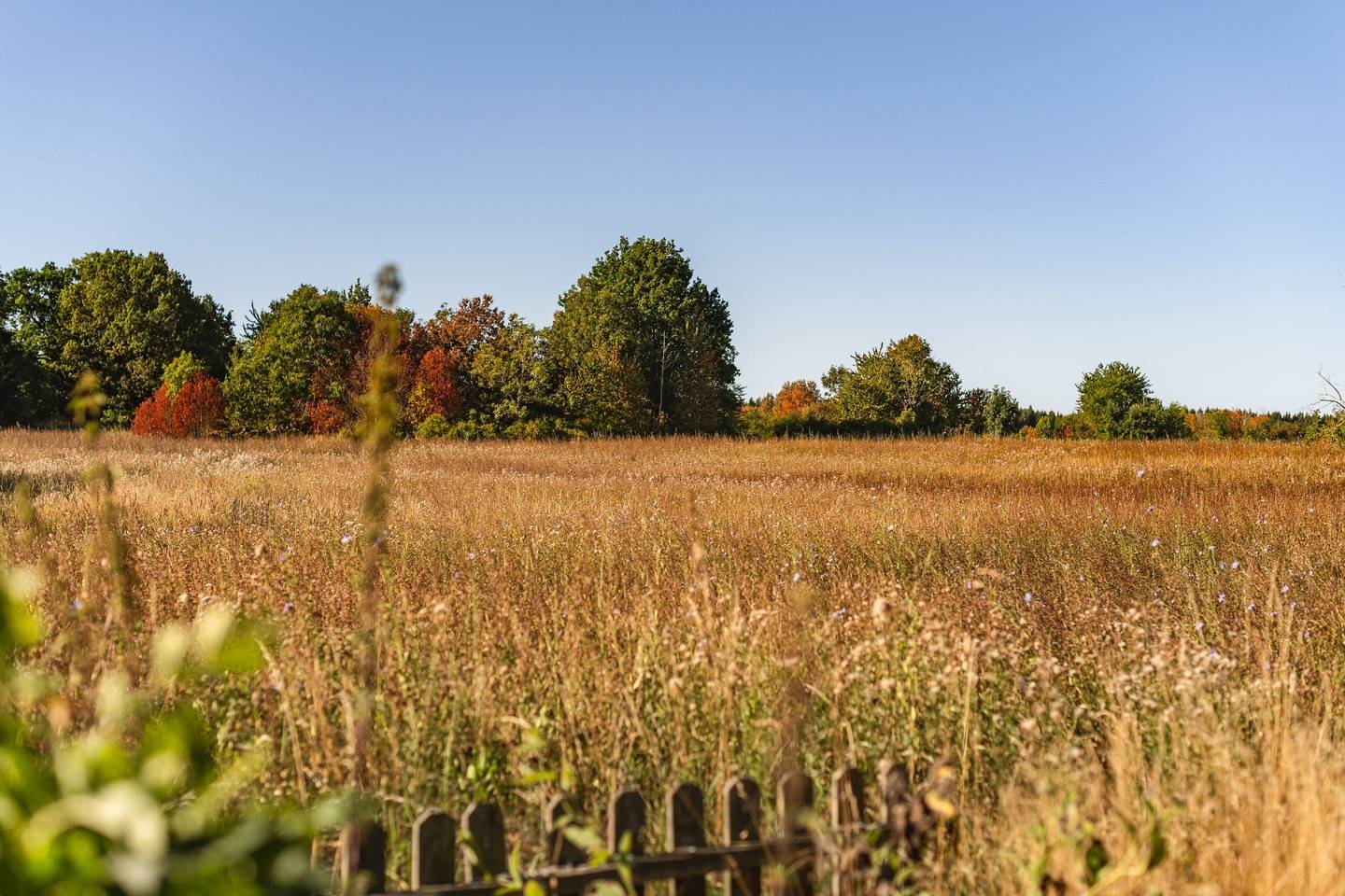 2 rum Villa på Kålstad Nyborg 1 Heda Ödeshögs kommun - bild 2