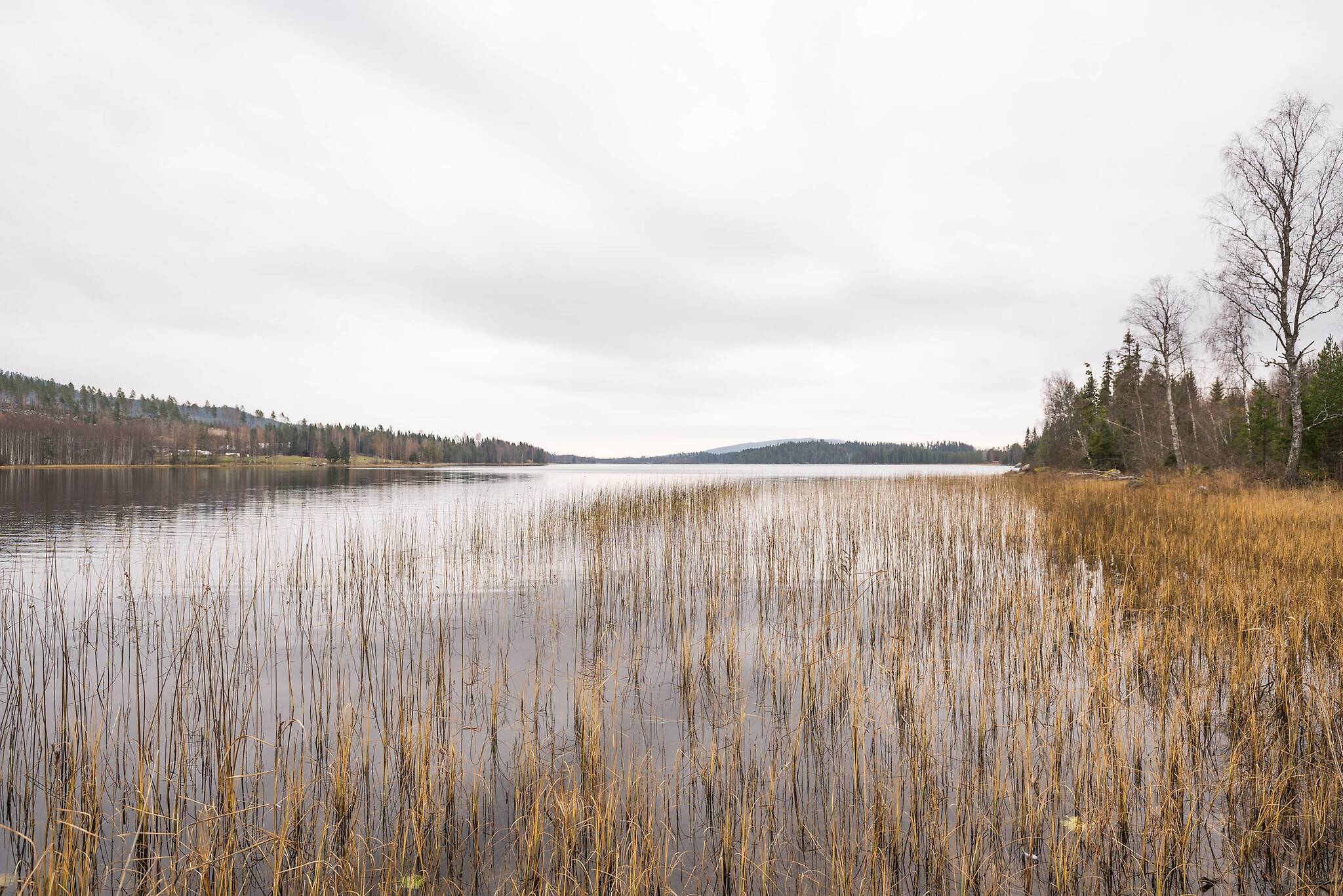 3 rum Fritidsboende på Inre Trehörningsjö 117 Örnsköldsviks kommun - bild 21