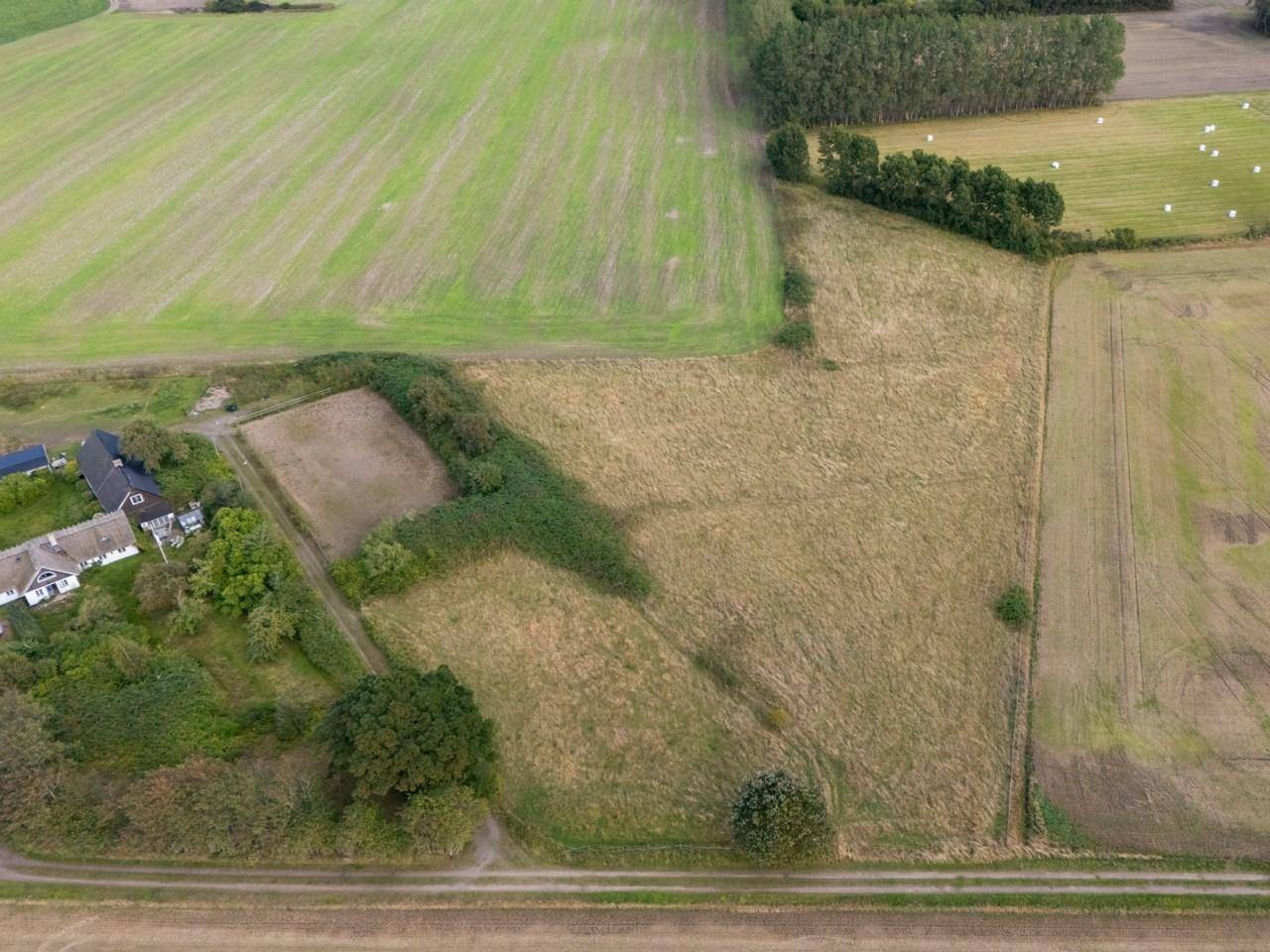 Höganäs, Höganäs kommun