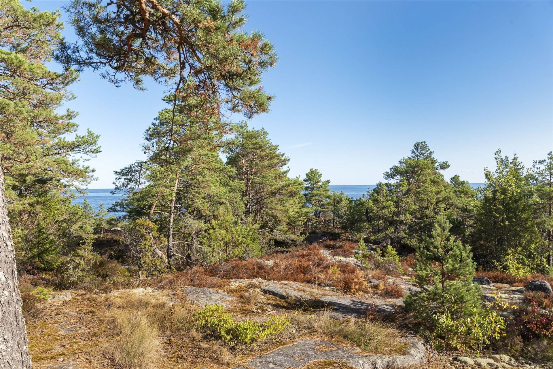 3 rum Fritidshus på Norra Havsängen 64 Norra Havsängen Norrtälje kommun - bild 13