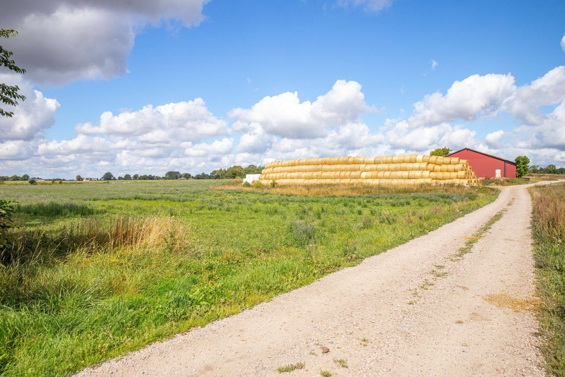 Gård med jordbruk på Östra Klasarödsvägen 262-16 Sjöbo kommun - bild 24