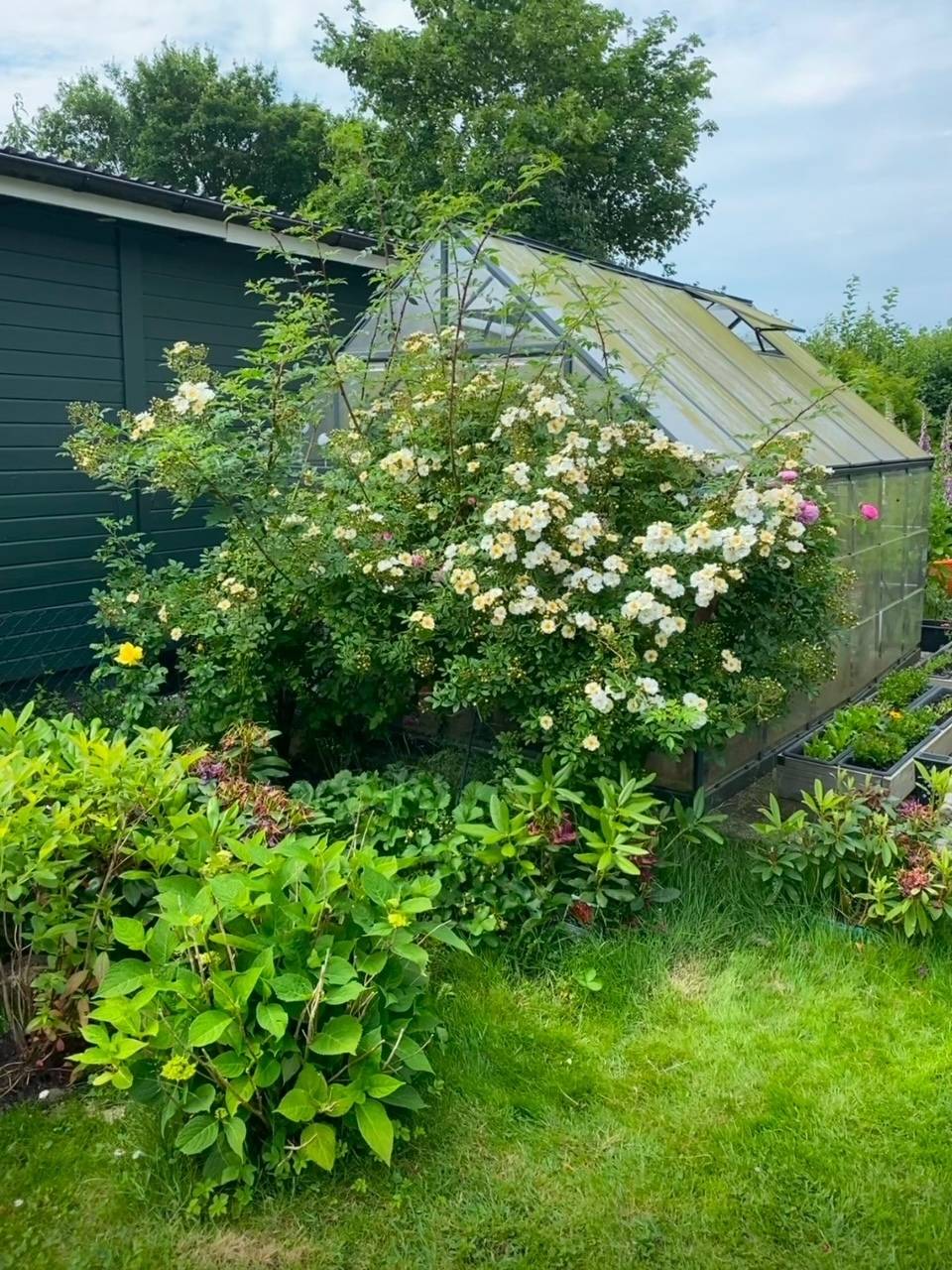 2 rum Fritidshus på Blåklintgatan 27, Nr 273 Almåsa Malmö kommun - bild 28