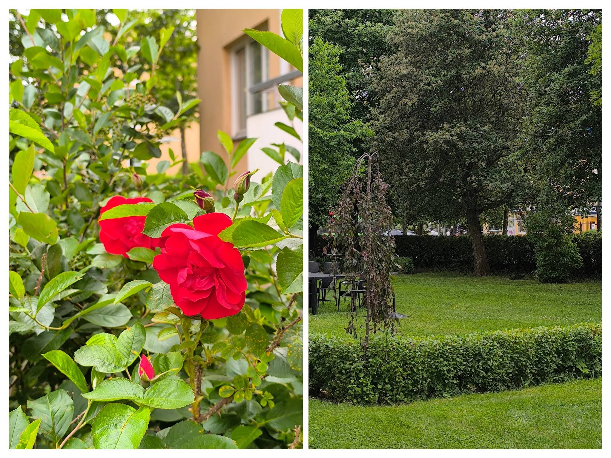 1.5 rum Lägenhet på Svartbäcksgatan 87B Svartbäcken Uppsala kommun - bild 20