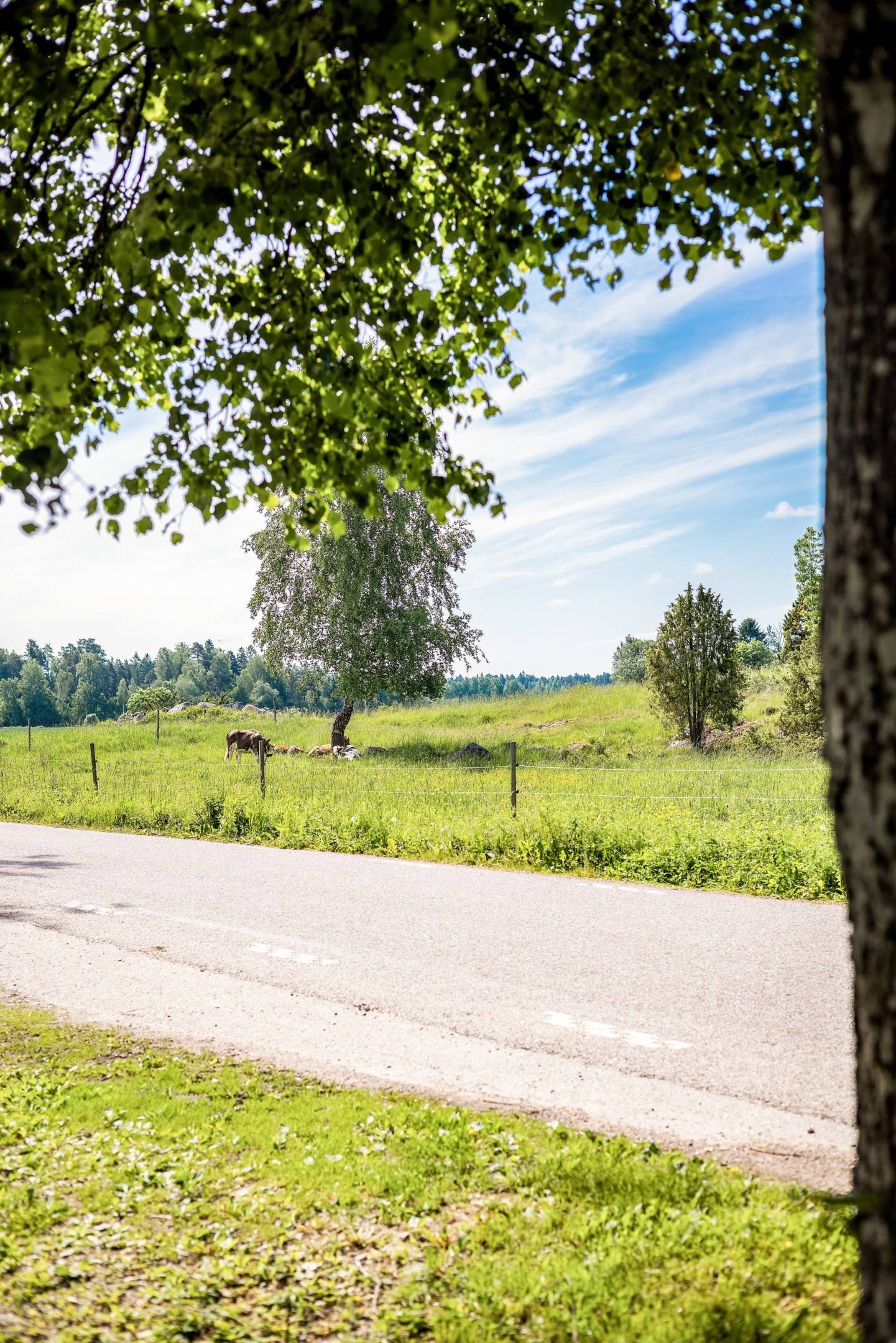 5 rum Villa på Blacksta 113 Alunda Östhammars kommun - bild 58