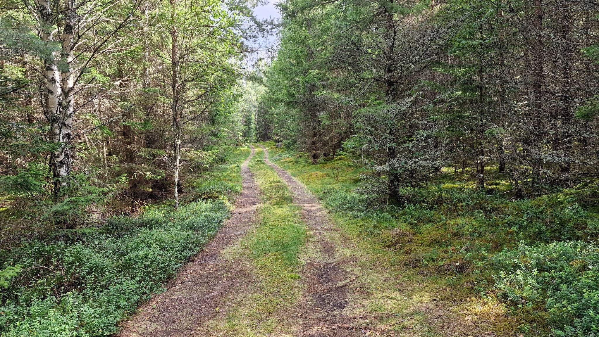 3 rum Fritidshus på Odensjö-Gårdshult 2 Ljungby kommun - bild 6
