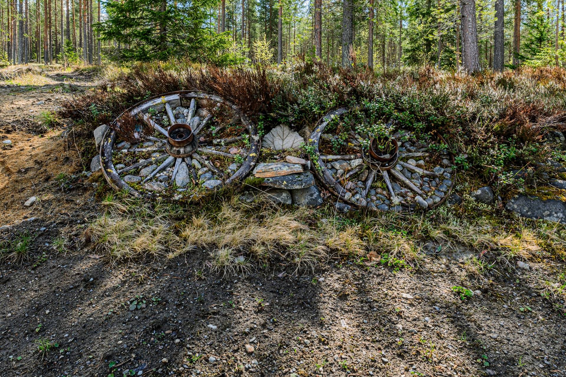 Gård/skog på Ljusvattnet 211 Ljusvattnet Skellefteå kommun - bild 64