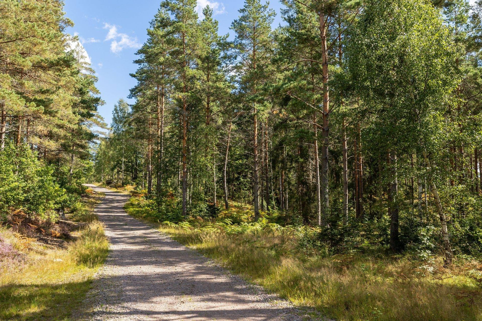 Gård/skog Västerviks kommun - bild 3