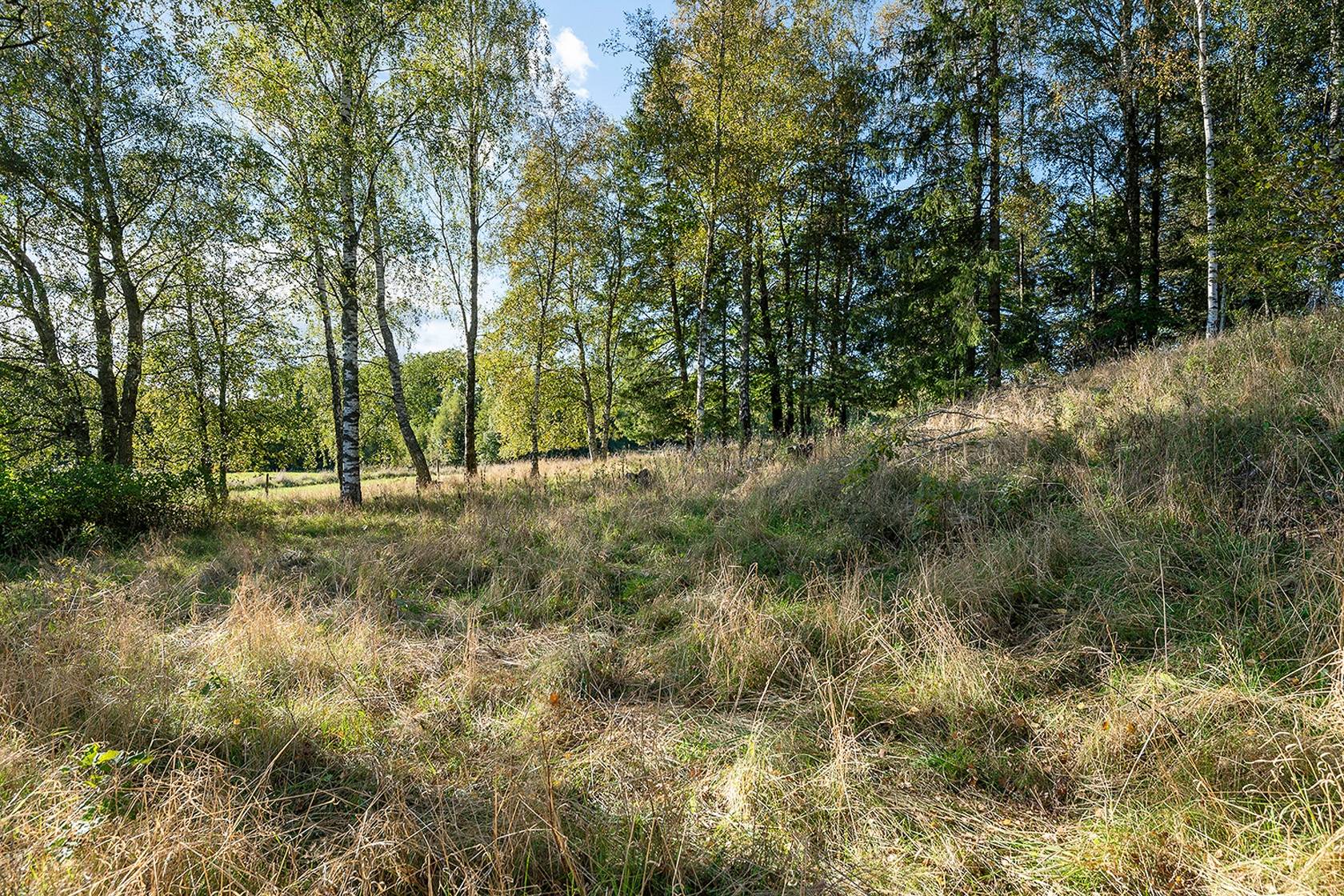 4 rum Vinterbonat fritidshus på Adseke 1312 Sösdala Hässleholms kommun - bild 5
