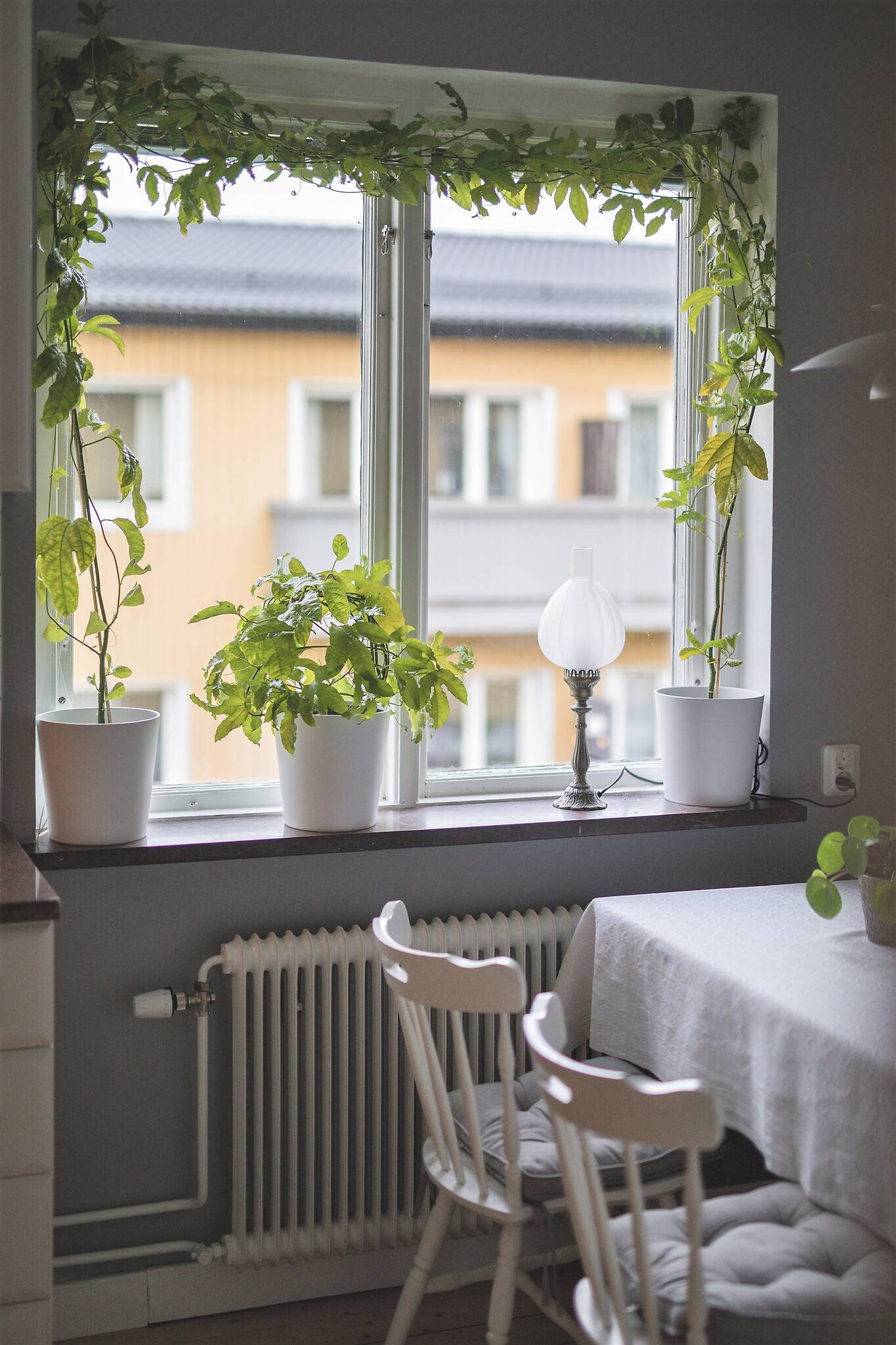 2 rum Lägenhet på Mellangatan 18 A Liljeholmen Jönköpings kommun - bild 16