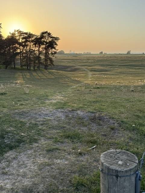 4 rum Fritidshus på Pastoralvägen 17 Löderups Strandbad Ystads kommun - bild 36