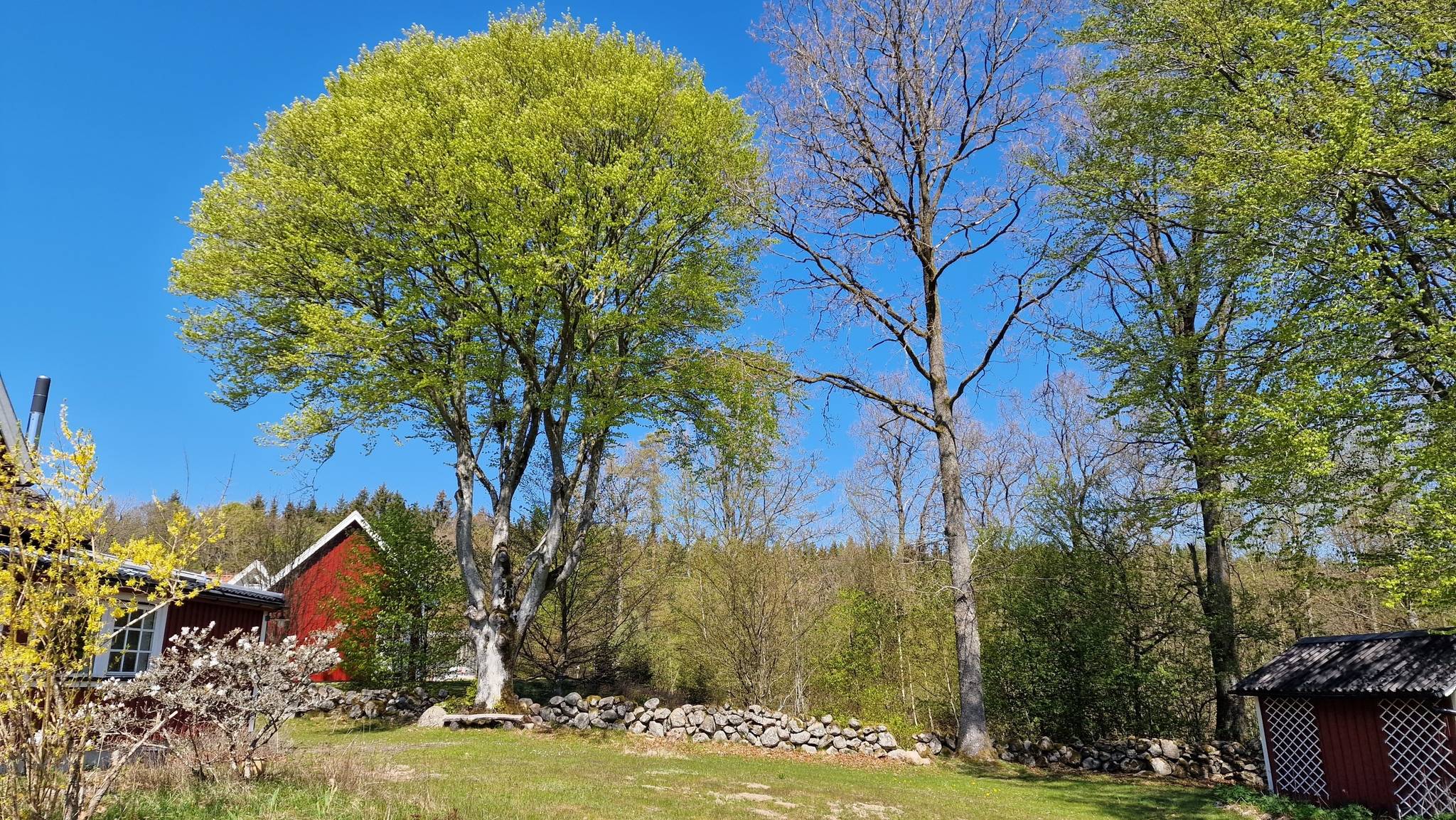 6 rum Vinterbonat fritidshus på Kyllingarödsvägen 113 Kristianstads kommun - bild 17
