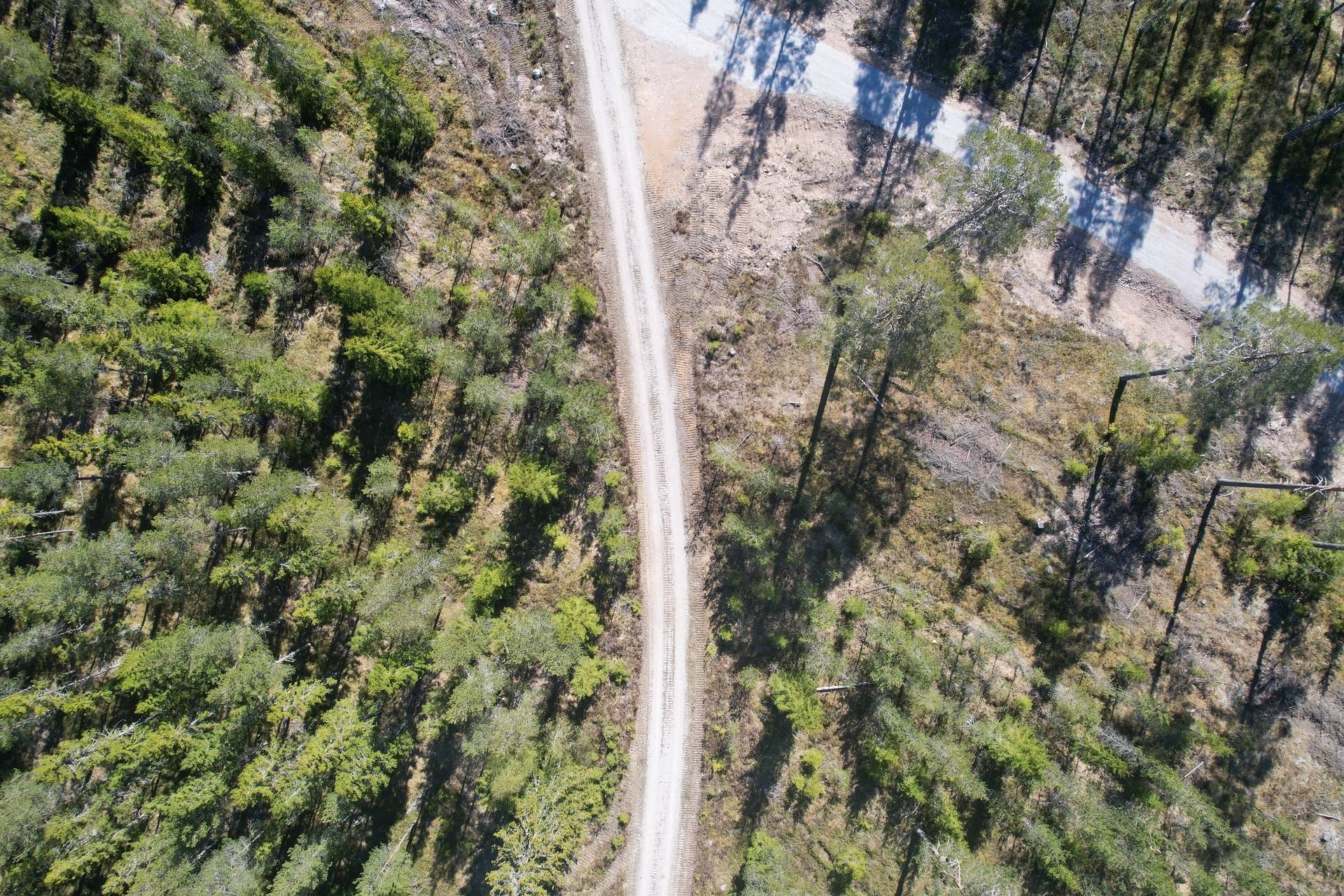 Gård med skogsbruk på Gulleråsen Rättviks kommun - bild 18