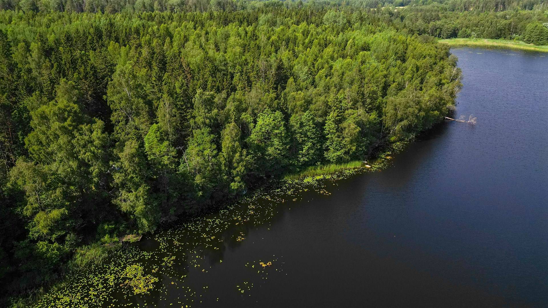 76 m² Gård/skog på Lilla Gransjövägen 23 Liesta Norrtälje kommun - bild 9