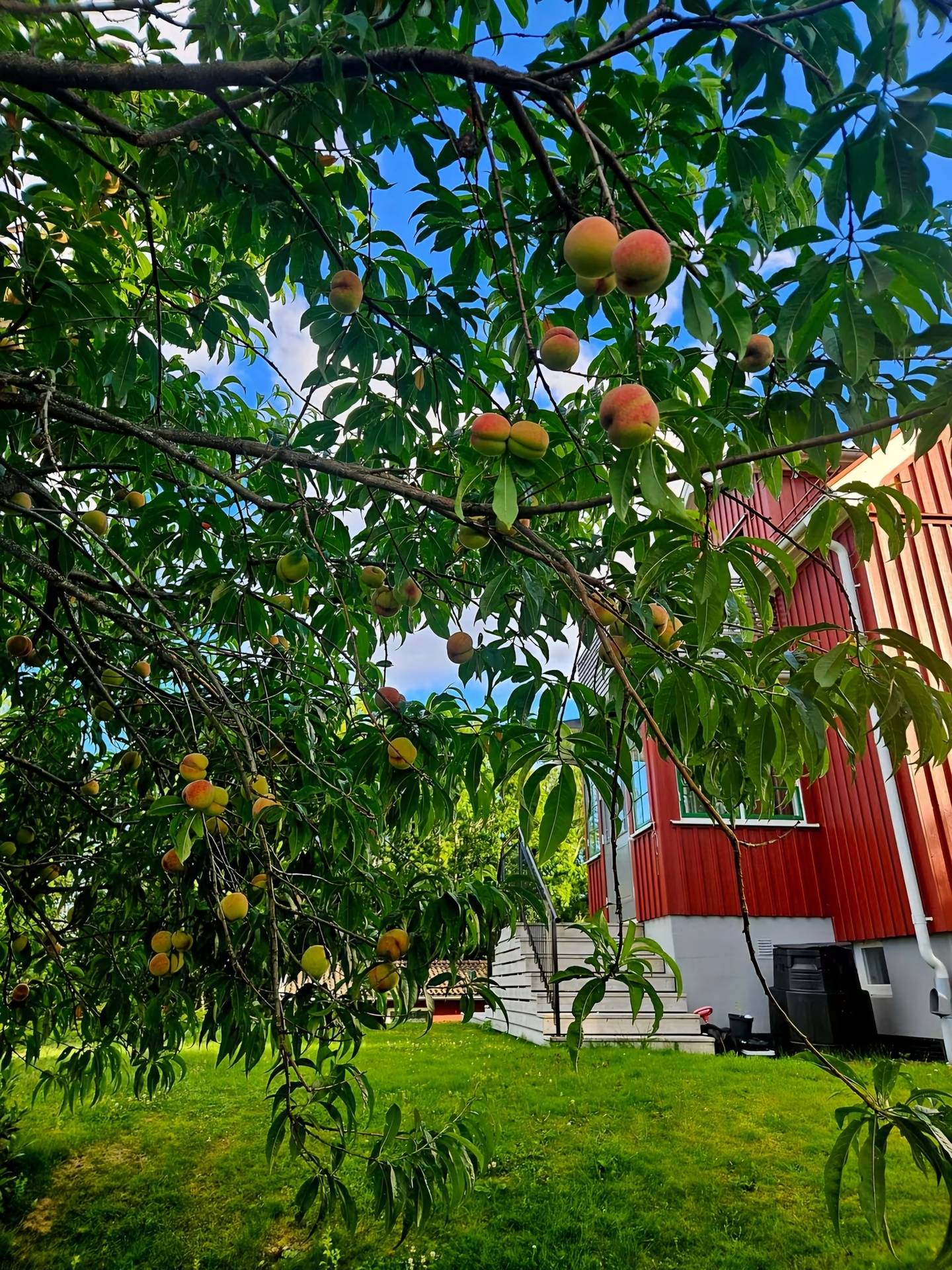 6 rum Villa på Kullevägen 17 Fengersfors Åmåls kommun - bild 16