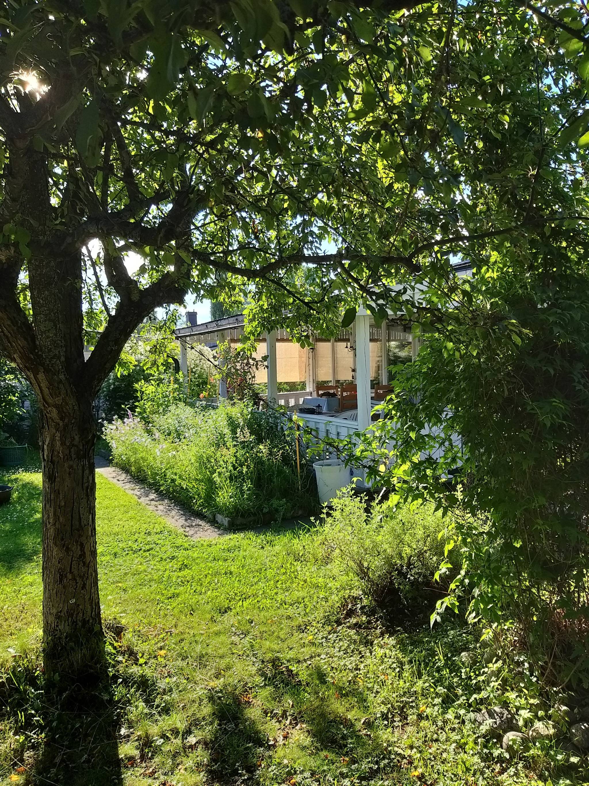 4 rum Villa på Timotejvägen 12 Nordmaling Nordmalings kommun - bild 39