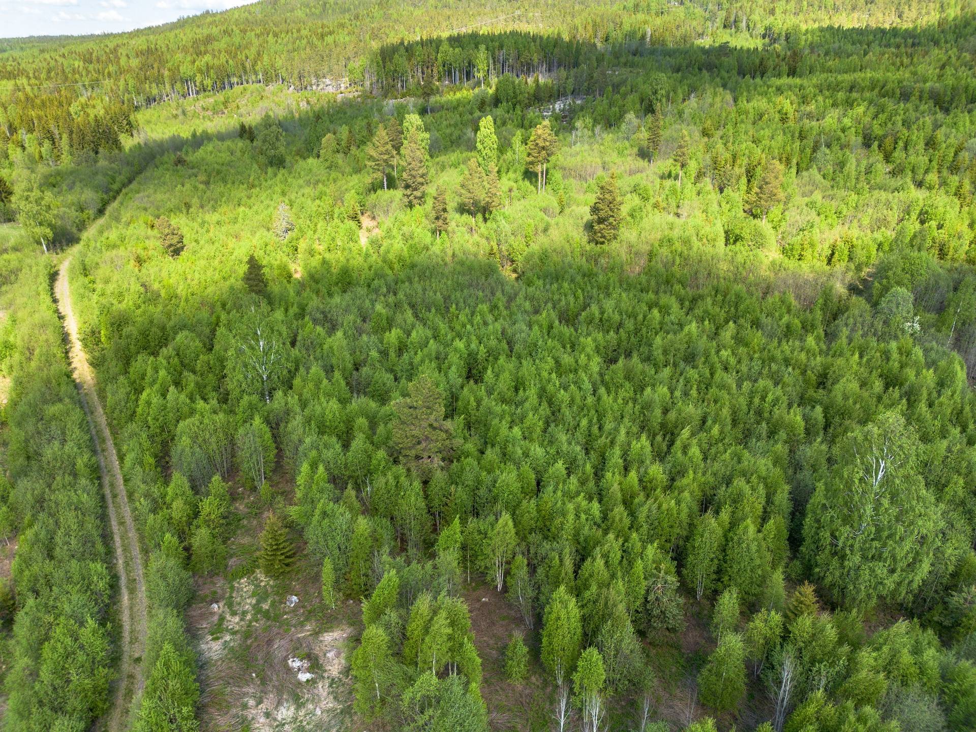7 rum Gård med jordbruk på Nordanåker 325 Nyland Kramfors kommun - bild 76