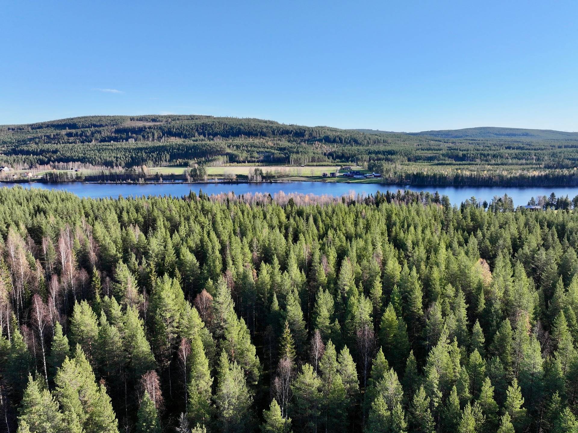 Gård/skog på Granön 4:6 Vindelns kommun - bild 7
