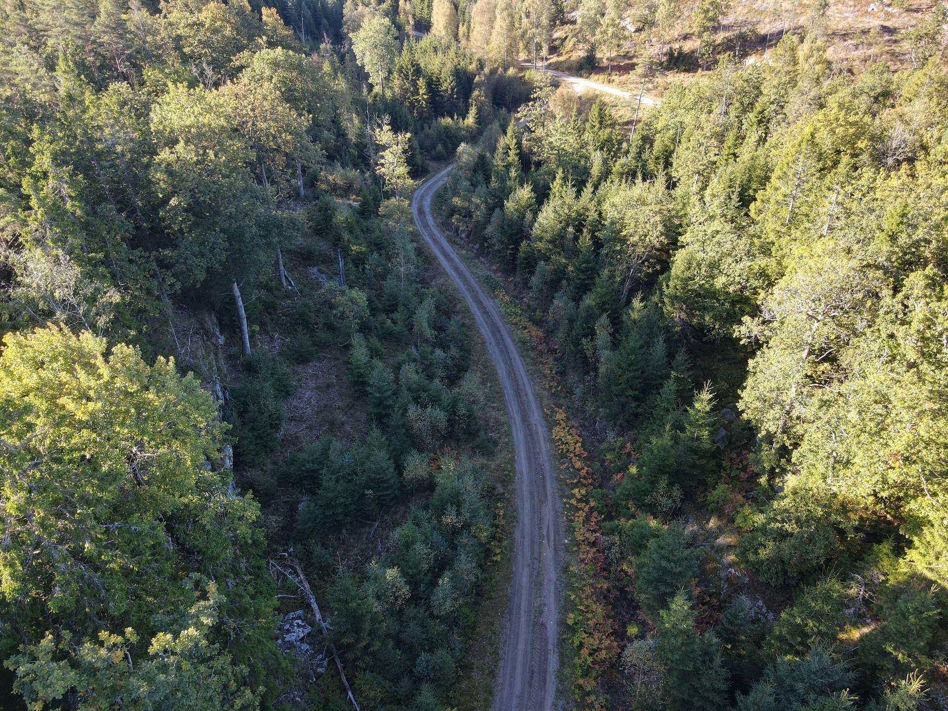 Gård/skog på Skogsfastighet i Hogstorp Hogstorp Uddevalla kommun - bild 5