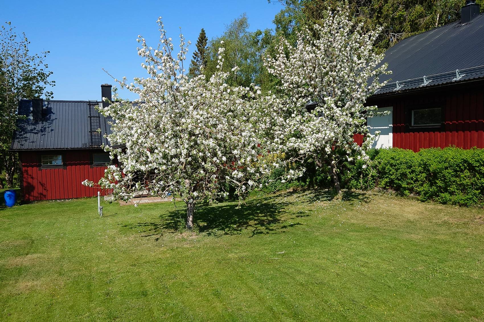 3 rum Villa på Stubbskärsvägen 48 Obbola Umeå kommun - bild 25