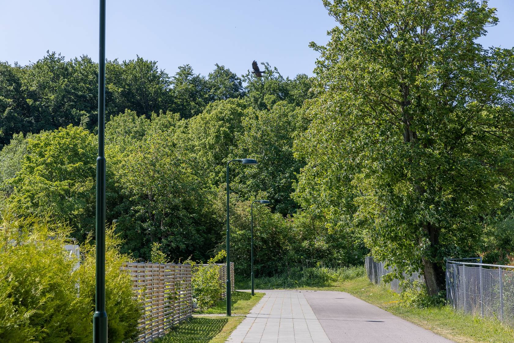 3 rum Lägenhet på Lönnebergagatan 61 Gyllins Trädgård Malmö kommun - bild 21