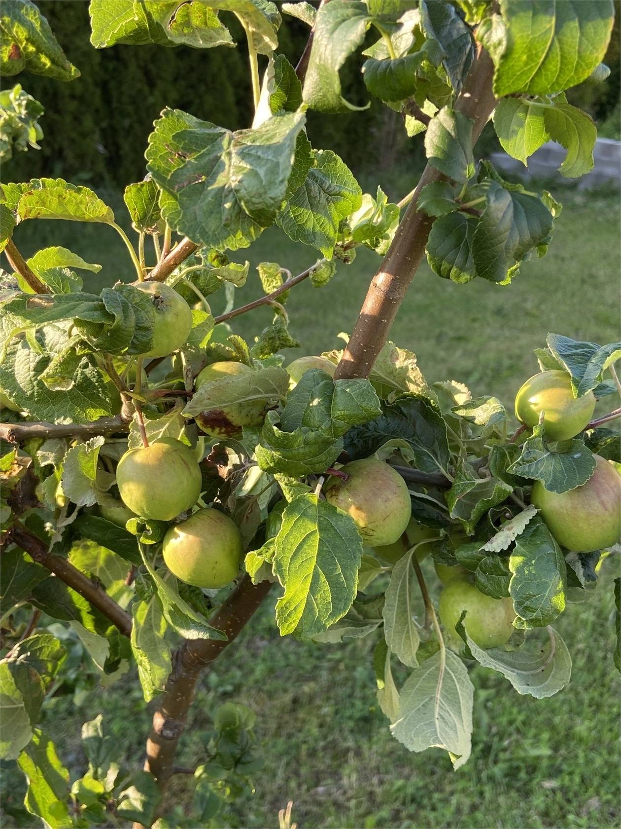 5 rum Villa på Helgdagsvägen 21 Vagnhärad Trosa kommun - bild 32
