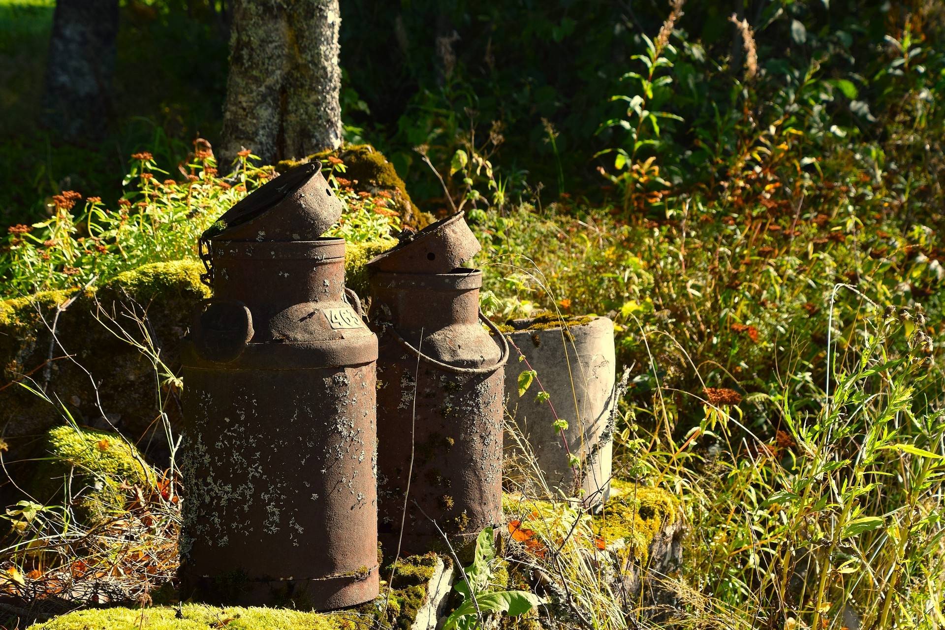 Gård med jordbruk på Snårbotten Laggartorp 23 Laggartorp Storfors kommun - bild 41