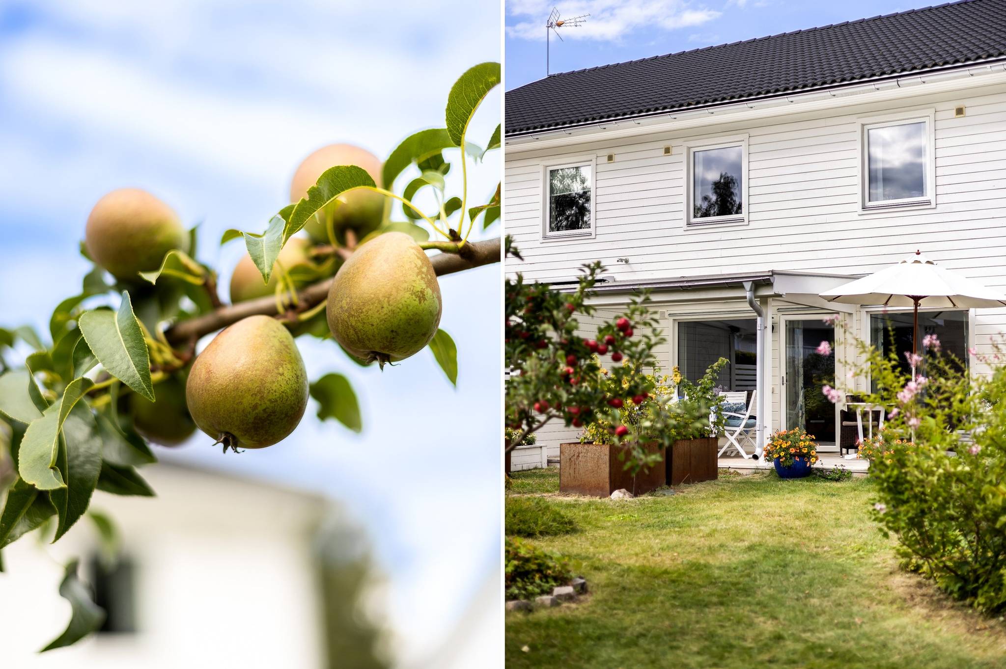 7 rum Parhus på Dag Hammarskjölds väg 244B Sunnersta Uppsala kommun - bild 66