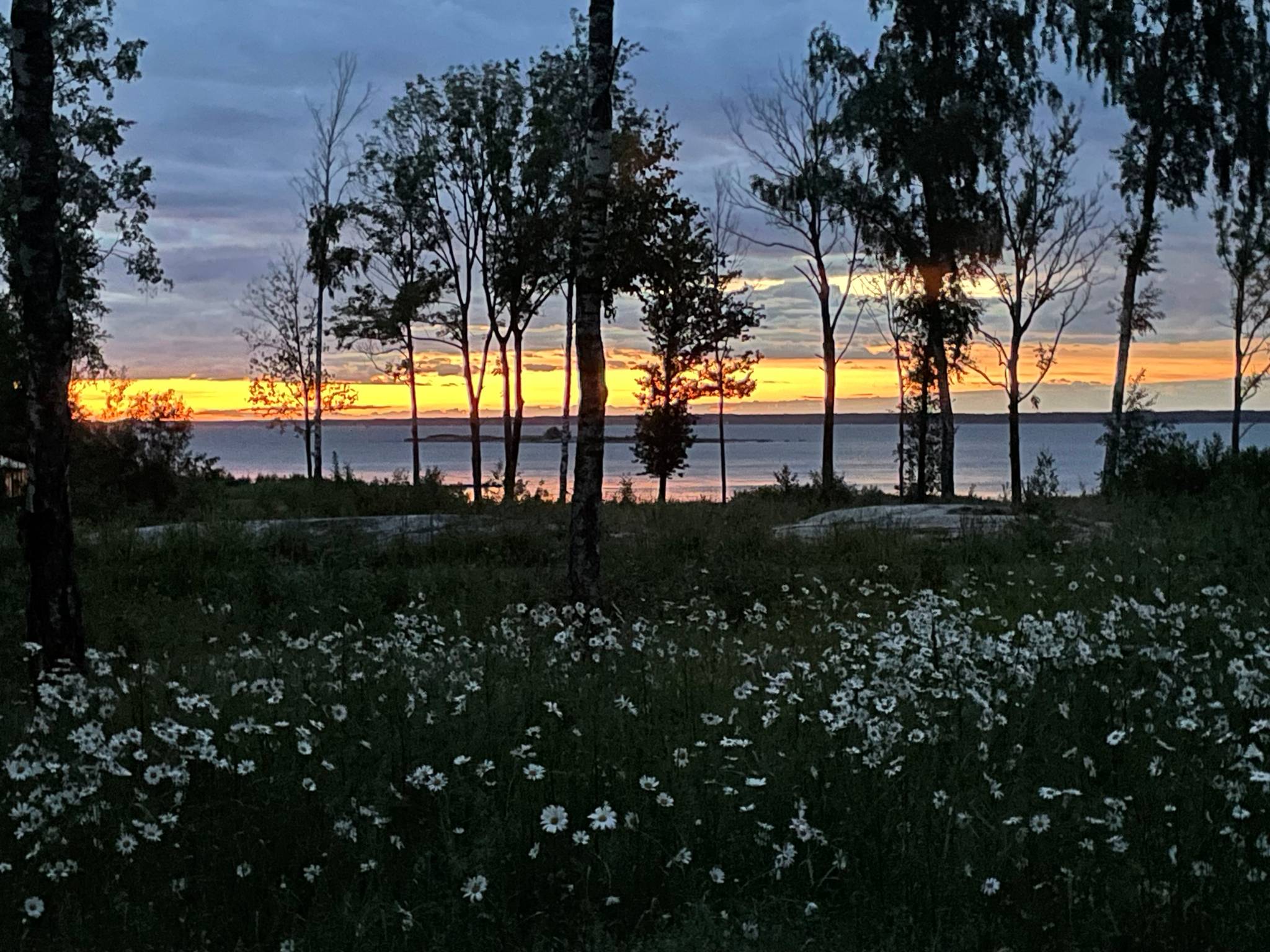 3 rum Villa på Strandvägen 17B Östhammars kommun - bild 25