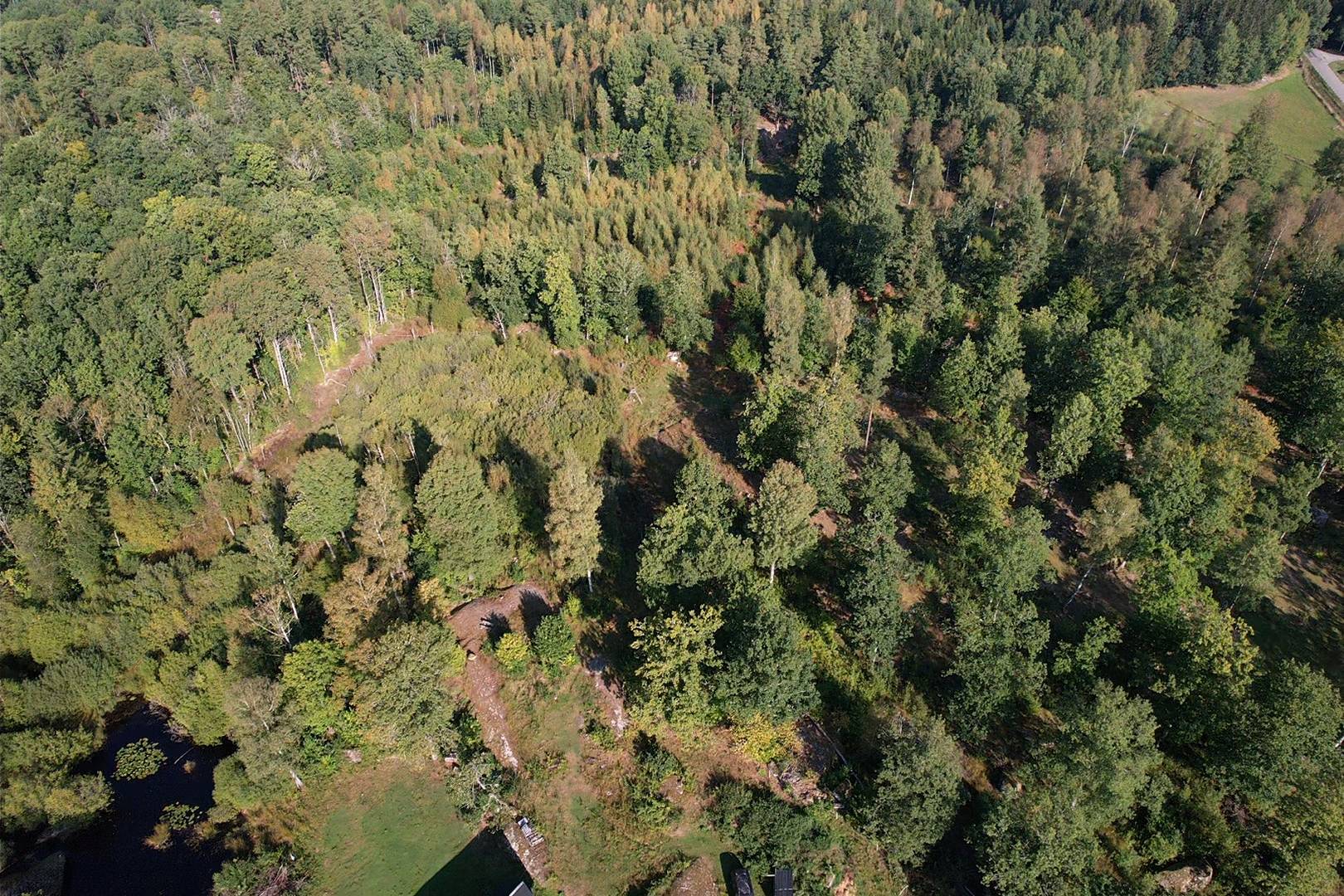 4 rum Gård med jordbruk på Loppetorp 107 Tving Karlskrona kommun - bild 16