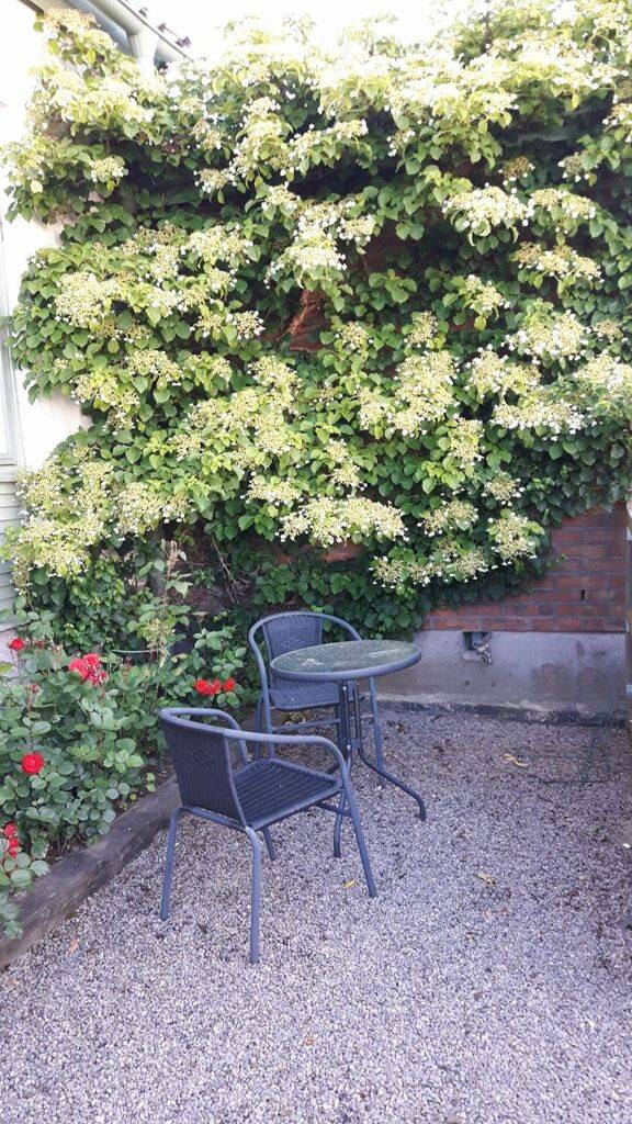 8 rum Villa på Stjärnvägen 24 Skultorp Skövde kommun - bild 61