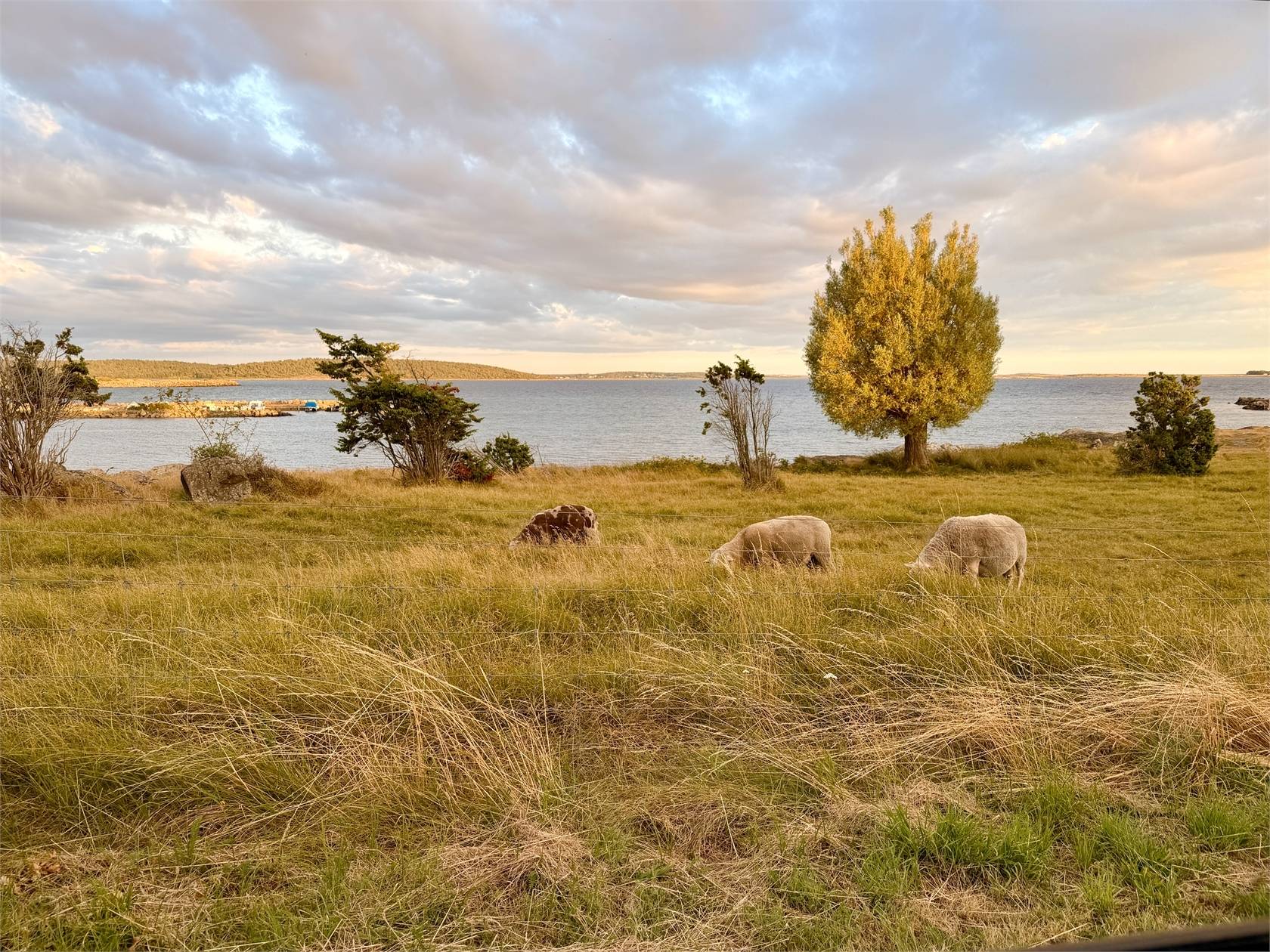3 rum Villa på Ripstigen 17 Espevik Varbergs kommun - bild 41