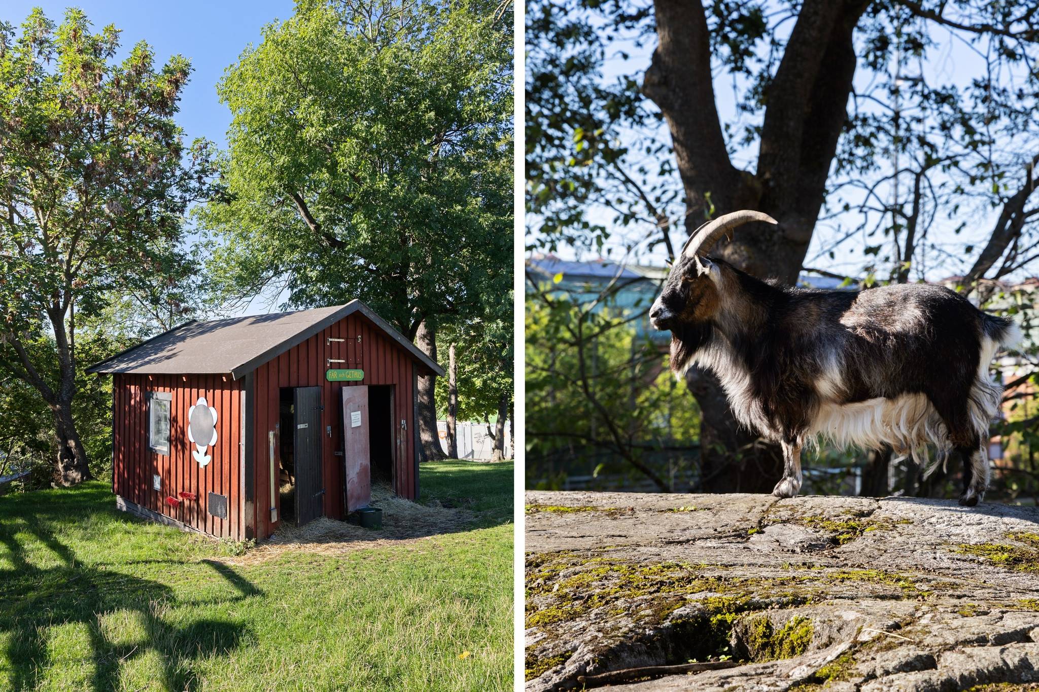 4 rum Lägenhet på Ljustergränd 1, 3tr Södermalm - Katarina Sofia Stockholms kommun - bild 40