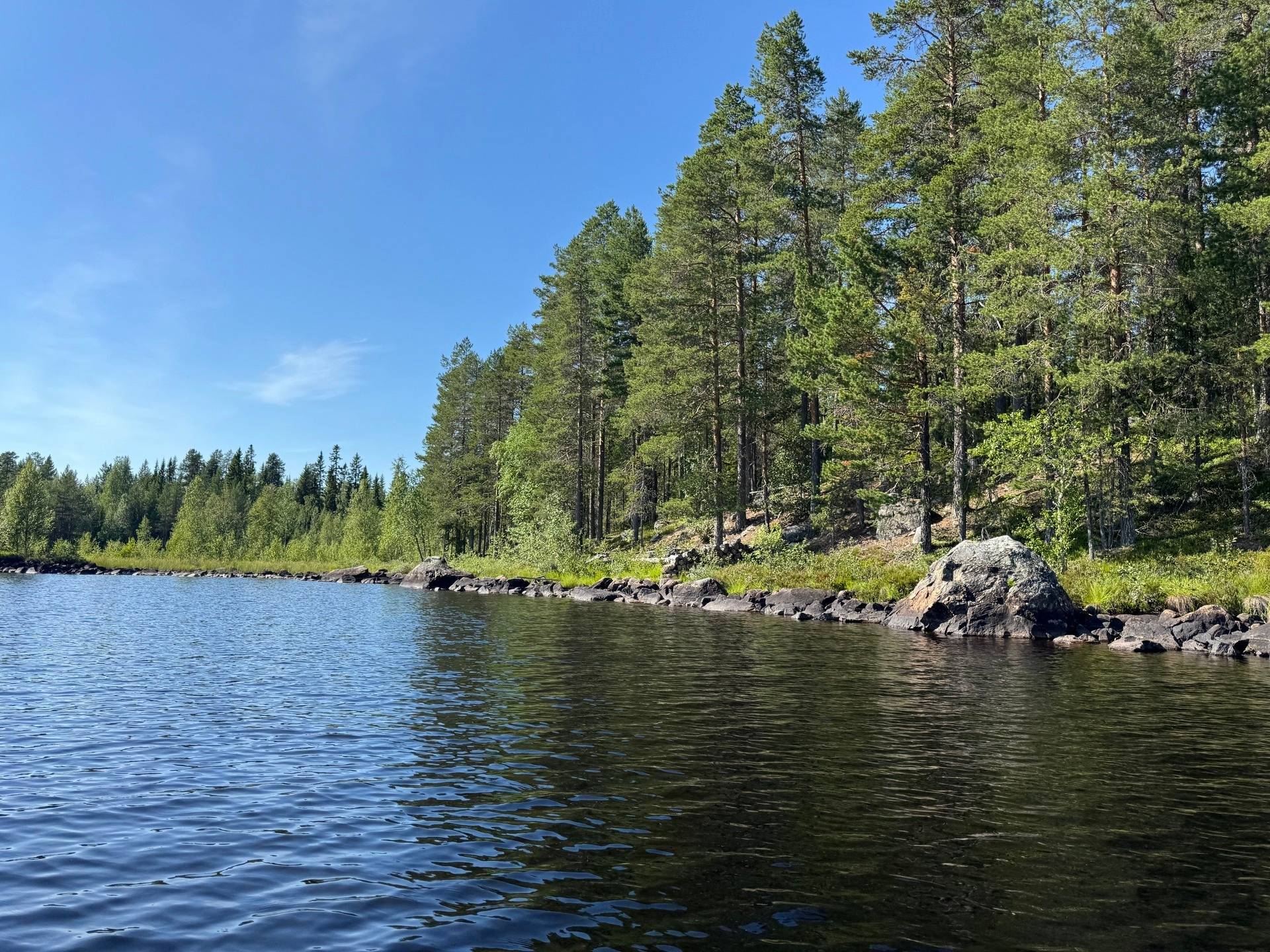 Gård med skogsbruk på Älvsbyn högheden 8:4, 8:5 & Piteå Björkheden 1:6 Älvsbyn Älvsbyns kommun - bild 2
