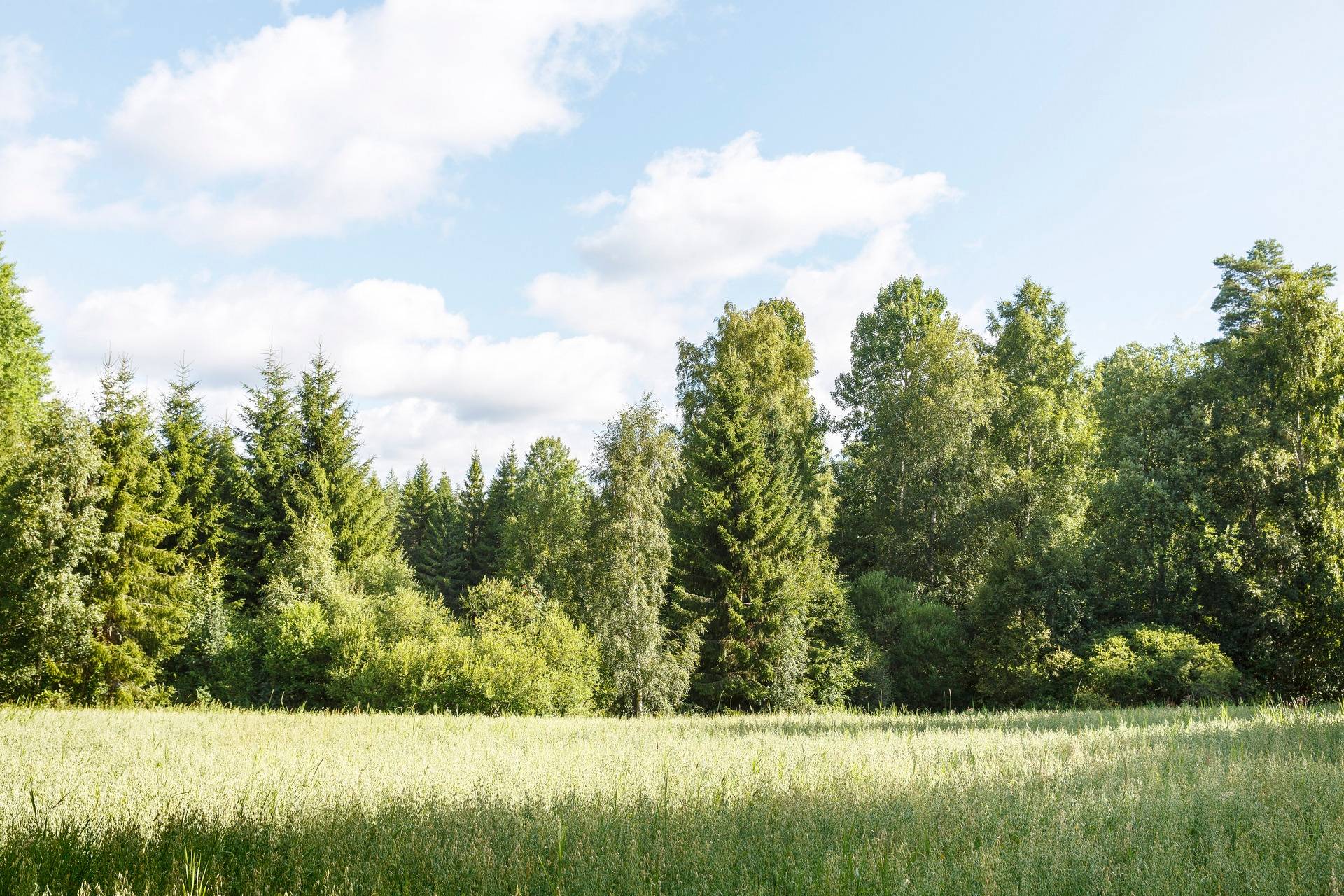 Gård med jordbruk på Apelskift Habo kommun - bild 3