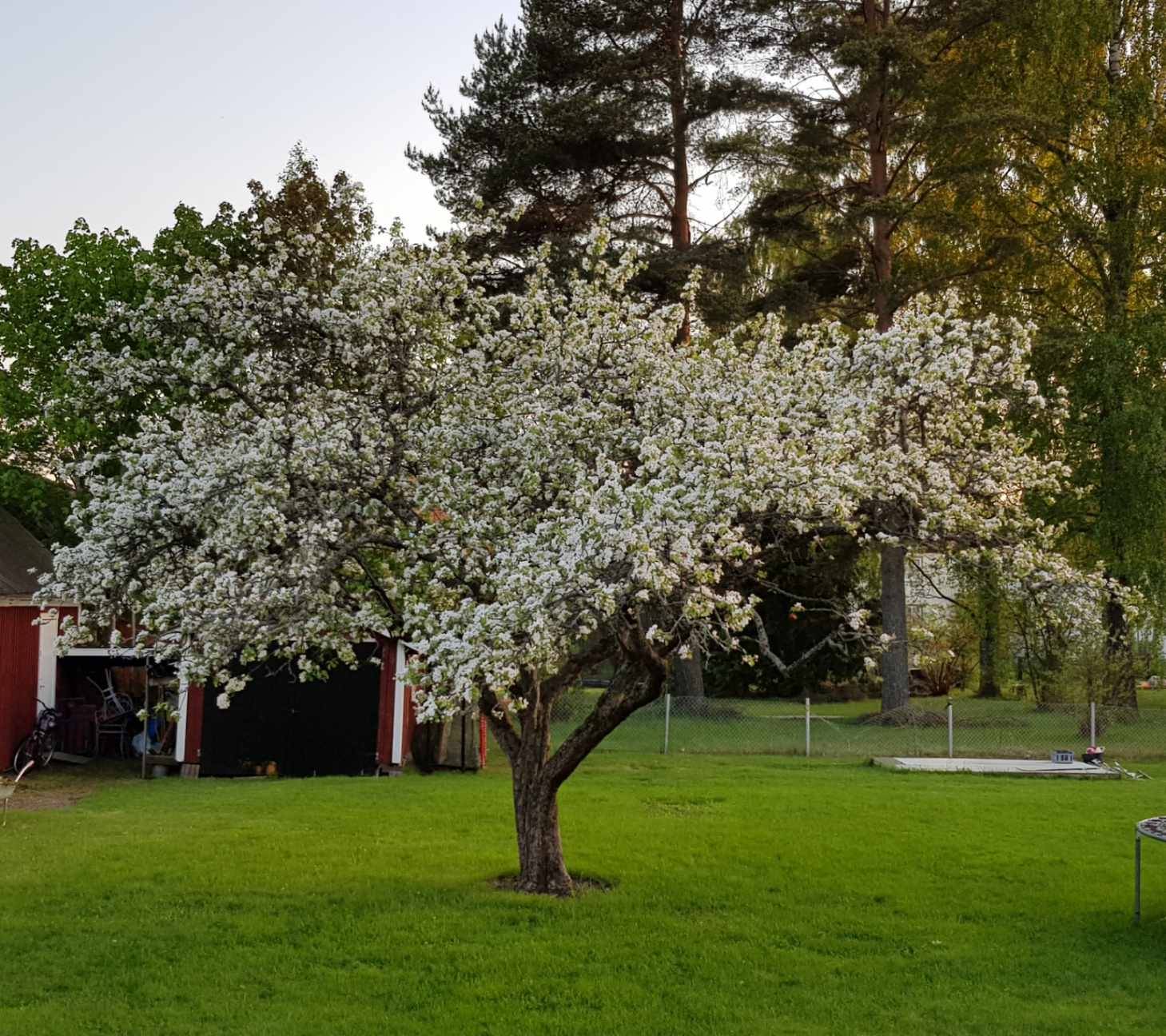 5 rum Villa på Bangatan 9 Forshaga kommun - bild 4