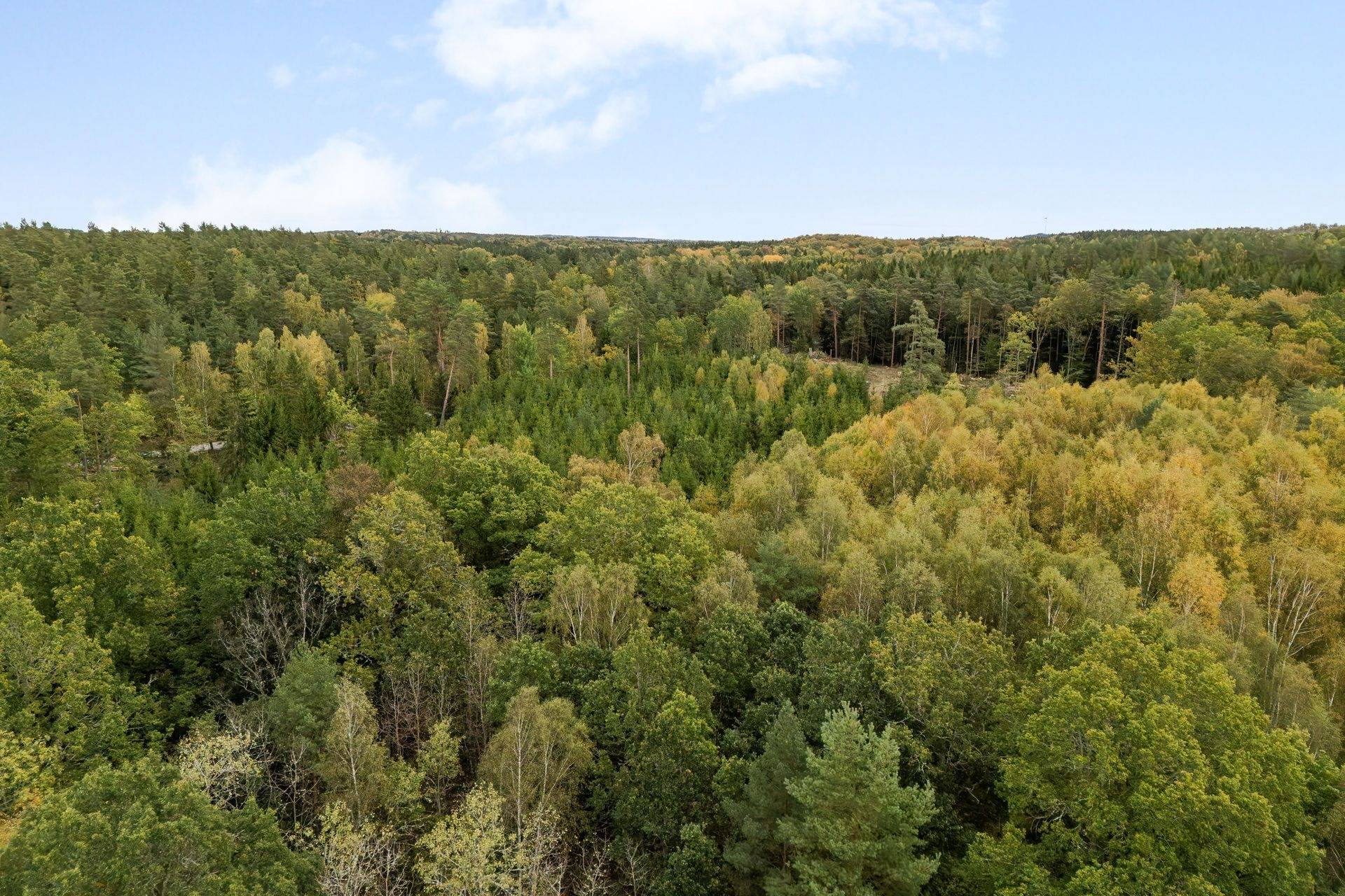135 m² Gård med skogsbruk på Värestorp 2076 Östra Göinge kommun - bild 75
