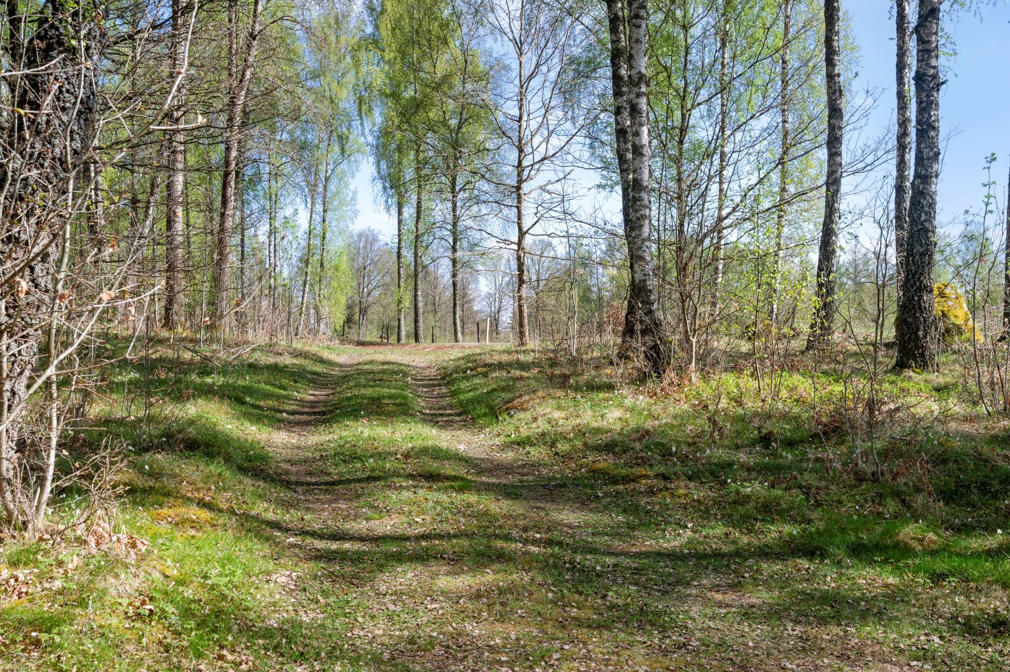 3 rum Fritidshus på Sämsholm Linesand 37 Säm Herrljunga kommun - bild 26