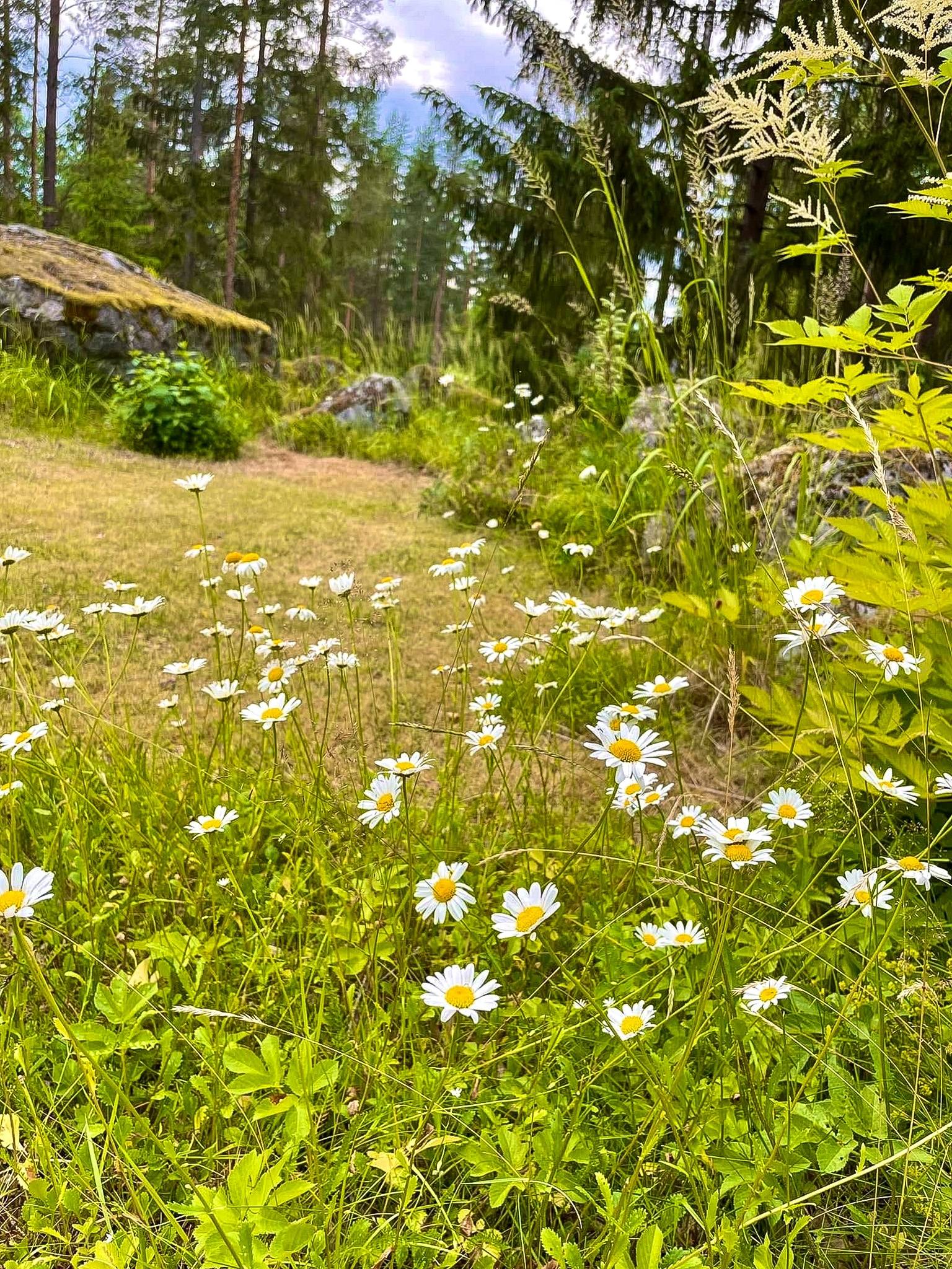 2 rum Fritidshus på Bofinkvägen 7 Söderhamns kommun - bild 19